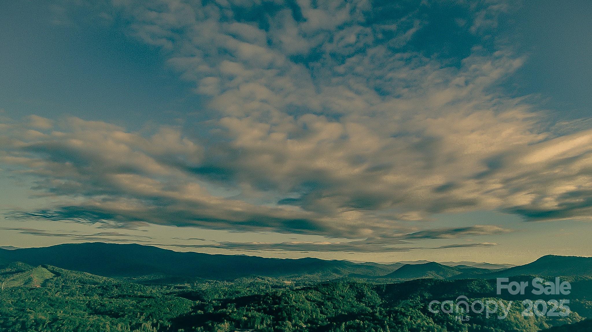 New Forest Mountain - Land