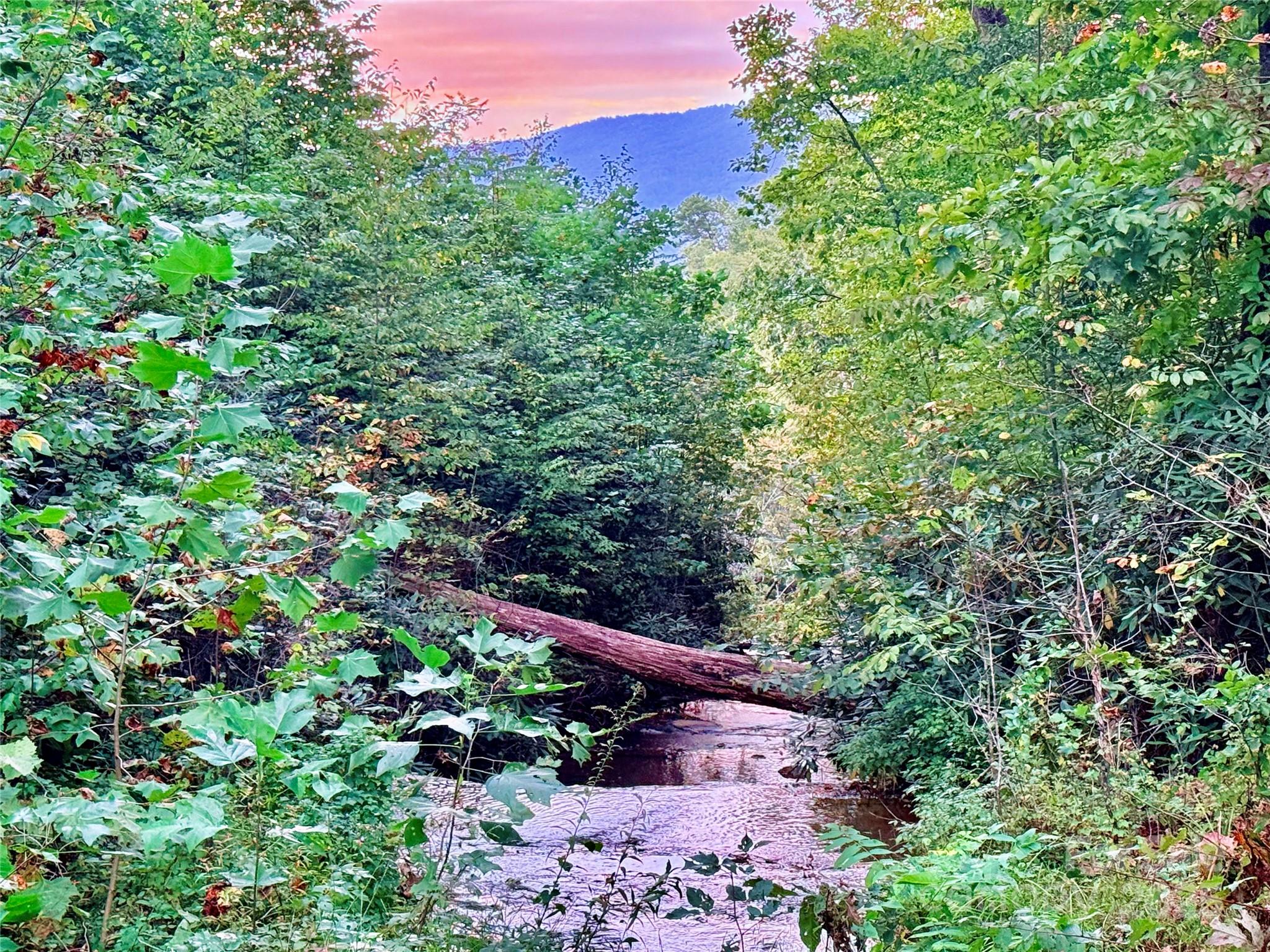 New Forest Mountain - Land