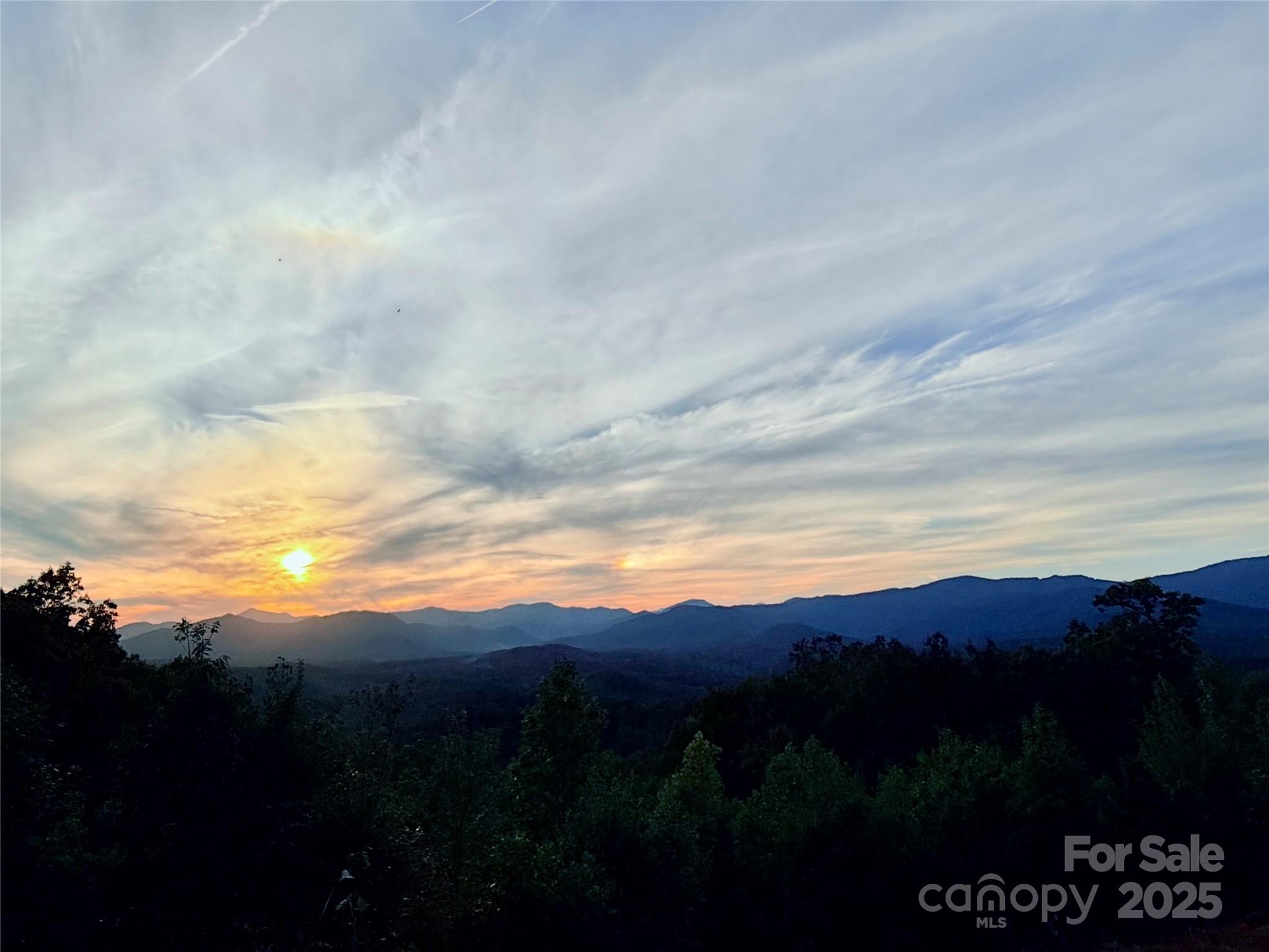 New Forest Mountain - Land