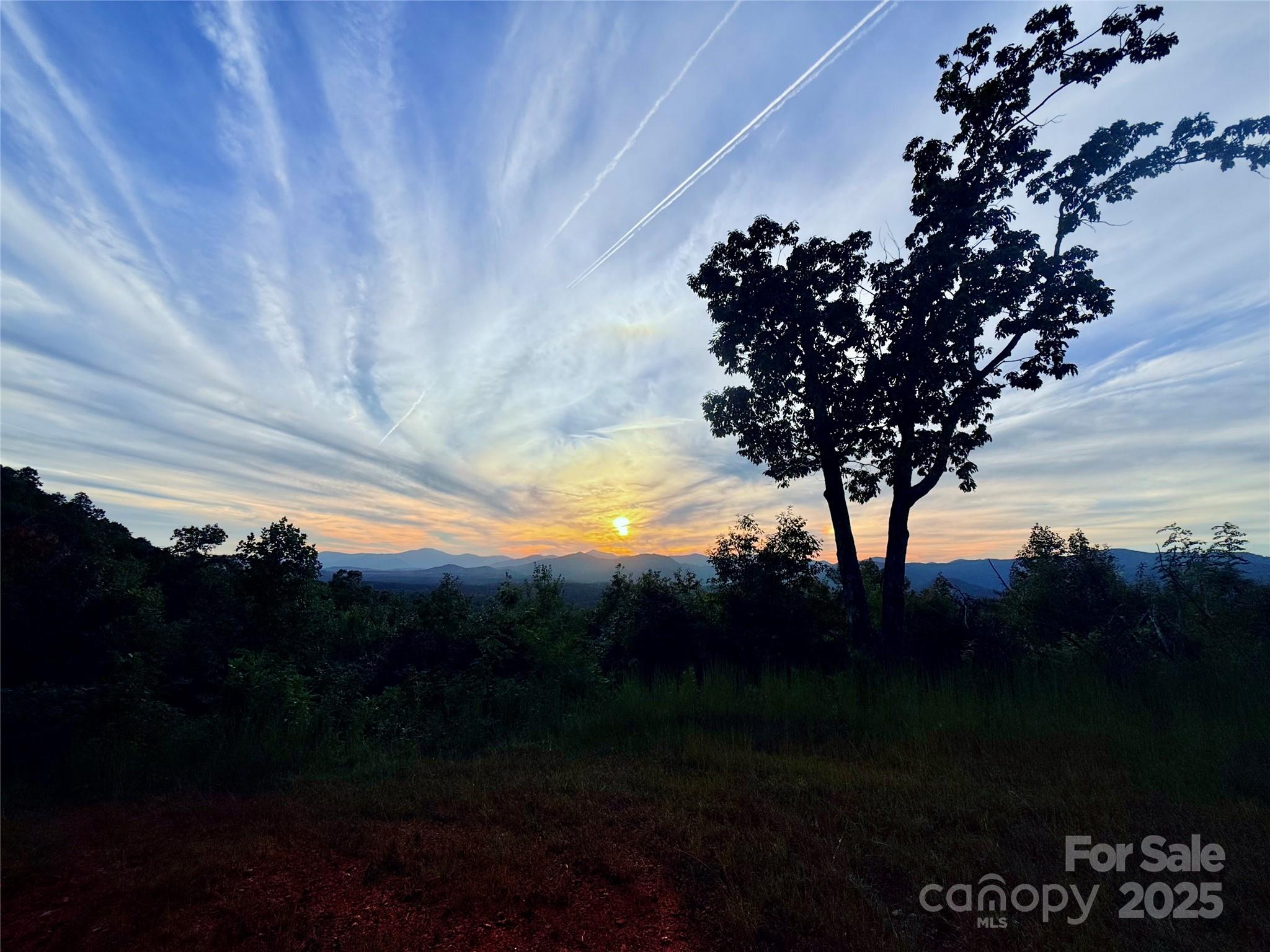 New Forest Mountain - Land