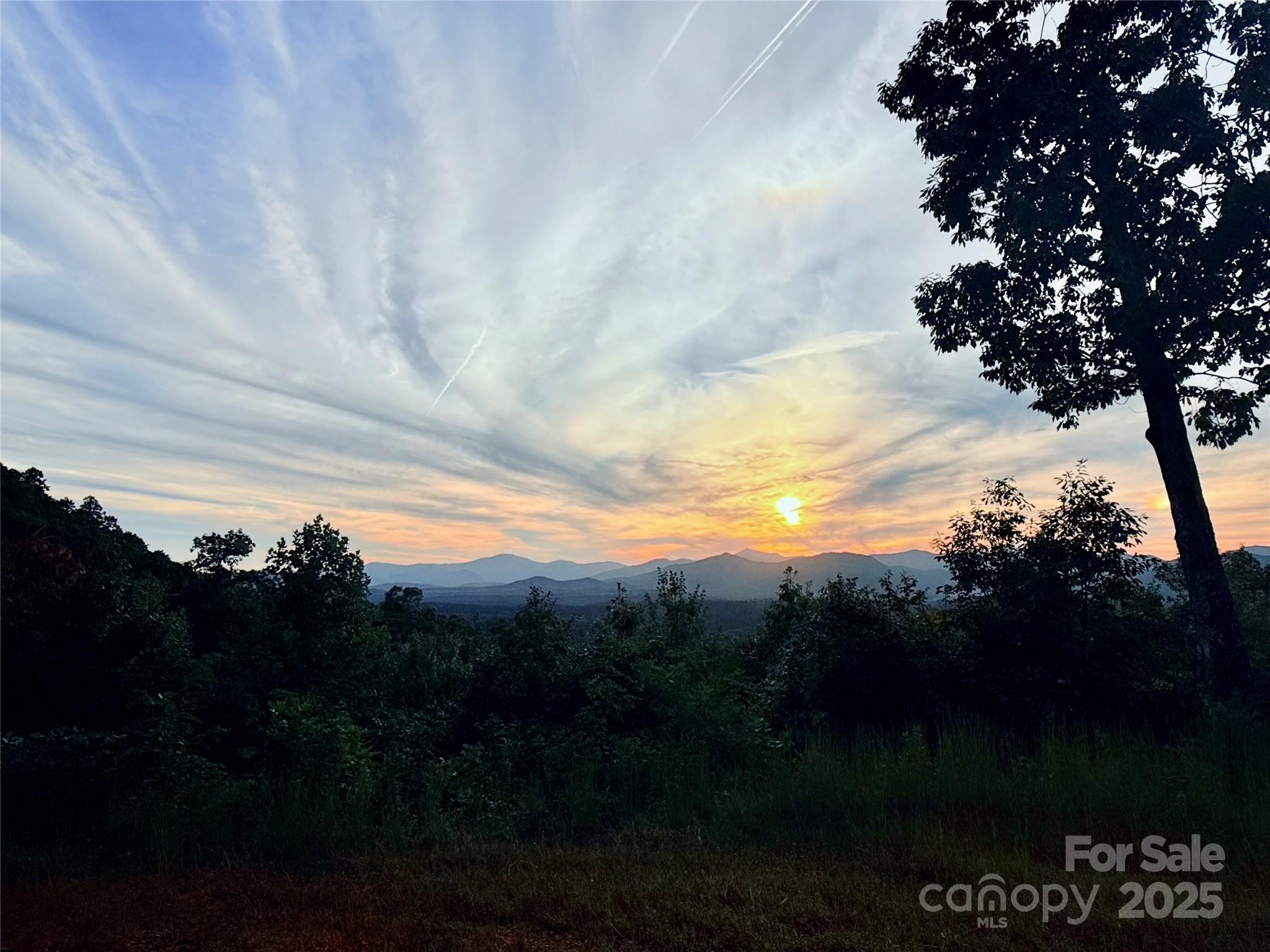 New Forest Mountain - Land