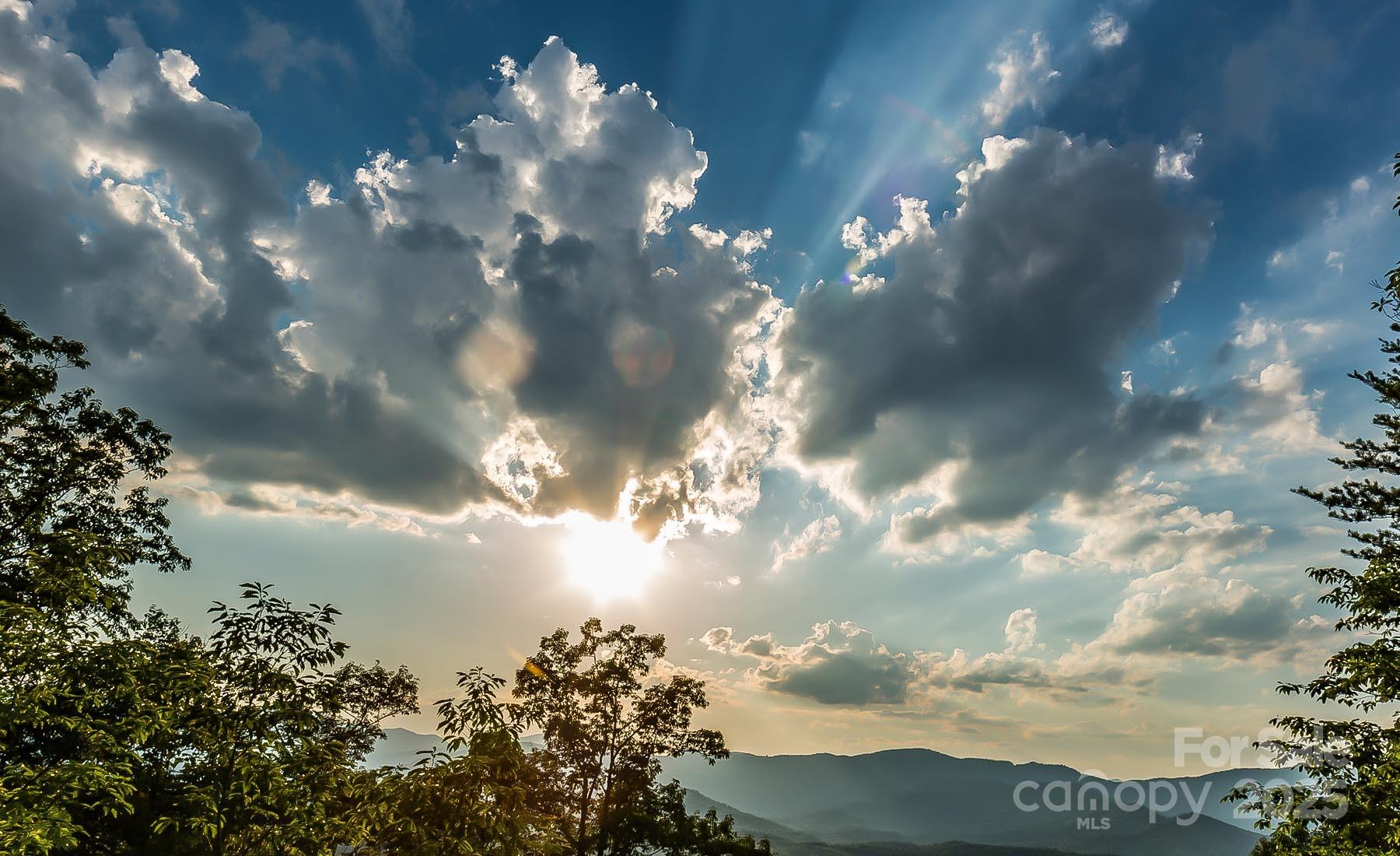 New Forest Mountain - Land