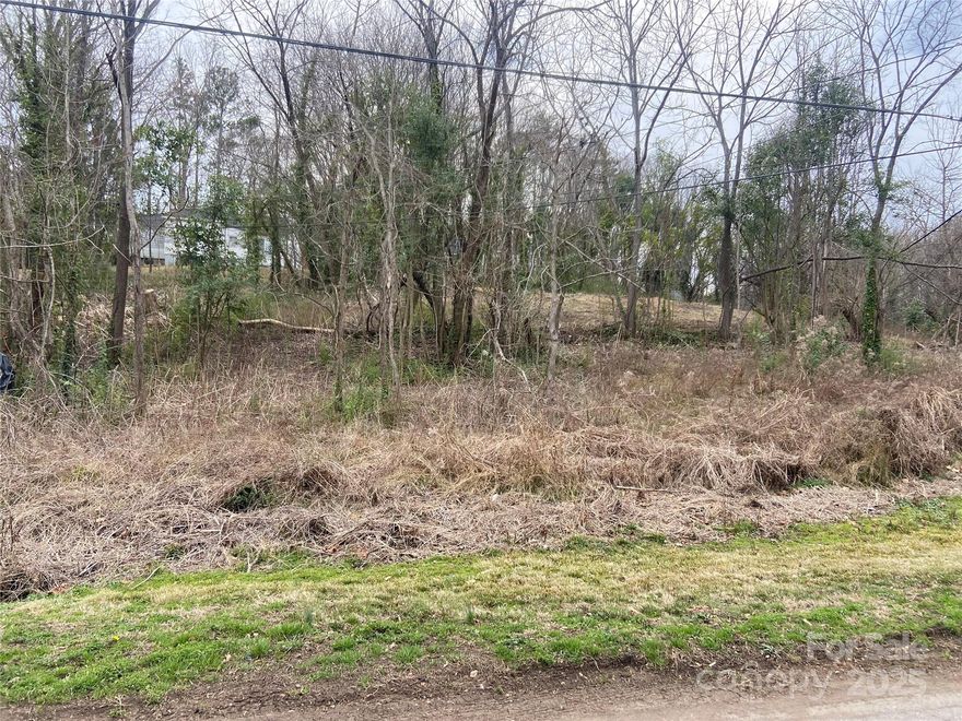 Great opportunity to build on this SF-4 zoned residential lot in Rock Hill. Ideal for a spec or personal home in an established neighborhood. Conveniently located near downtown, this is a solid choice for builders or investors looking for a project. Buyer to verify all zoning and building requirements. Per the City of Rock Hill, overhead power lines crossing the property are scheduled to be removed. Can also be sold with the lot next door at 94 Virginia St - MLS# 4227814.