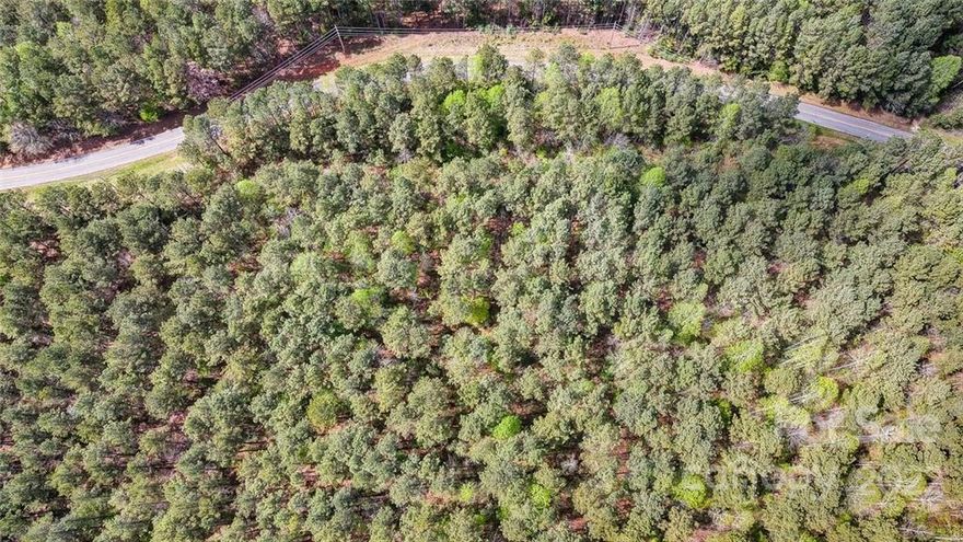 Located near the new drift restaurant on Lake Wylie, public boat ramps, McLean and the new Morning Star Marina where you can keep your boat in dry storage! Bring your horses on this just over 11 acre estate lot!   Are you looking for a place to GET AWAY from it all? This gorgeous, wooded, level lot is the perfect place to build the forever home of your dreams. This homesite offer unlimited possibilities for outdoor living! Picture yourself having your morning coffee overlooking the peaceful views and enjoying the abundant wildlife, create your own private estate or horse farm, if entertaining is your passion, the possibilities are limitless.  Surrounded by 10+ Acre homesites. Need in-law quarters?  No problem, plenty of road frontage to have 2 entrances.
You'll love beautiful Belmont with a small-town feel, but oh-so convenient to uptown Charlotte, shopping, dining, and the airport.