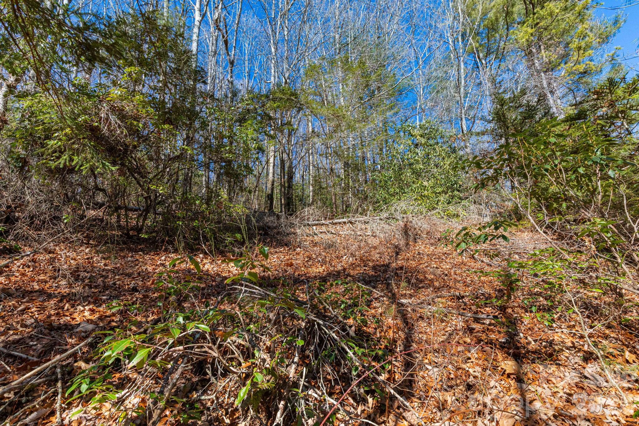 999 Flat Creek Valley Road