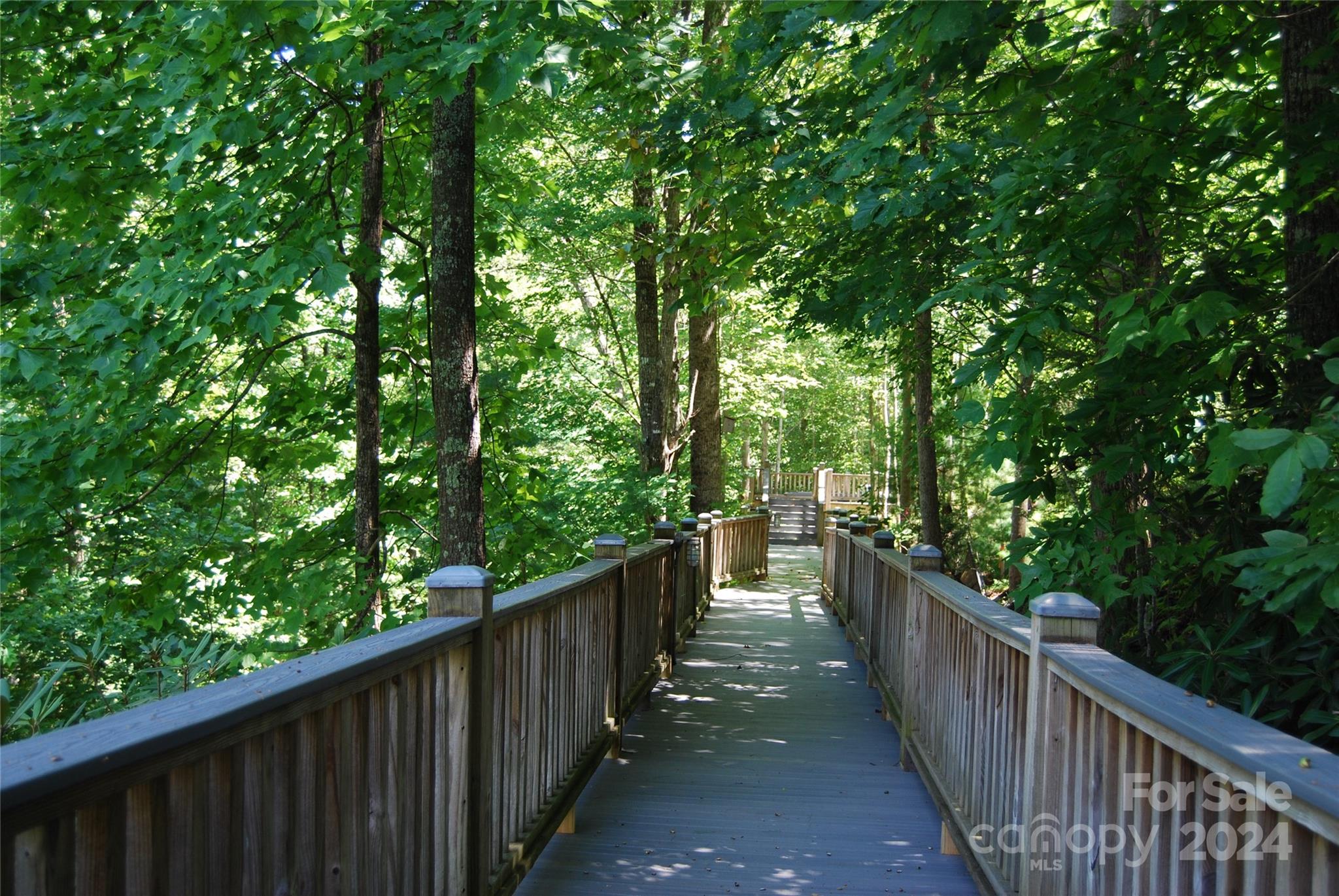 The Arbor at Lake James - Land