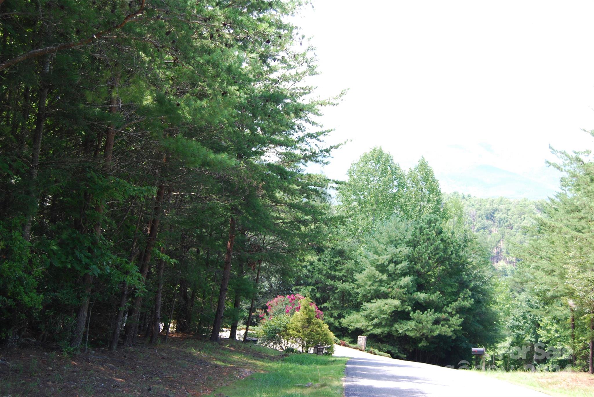 The Arbor at Lake James - Land