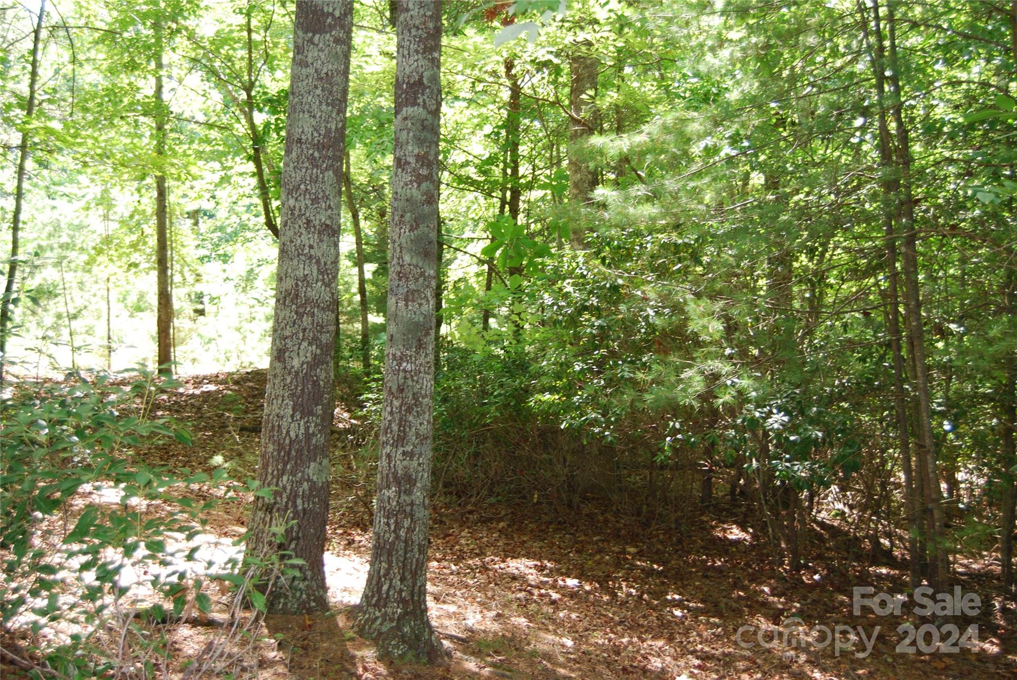 The Arbor at Lake James - Land