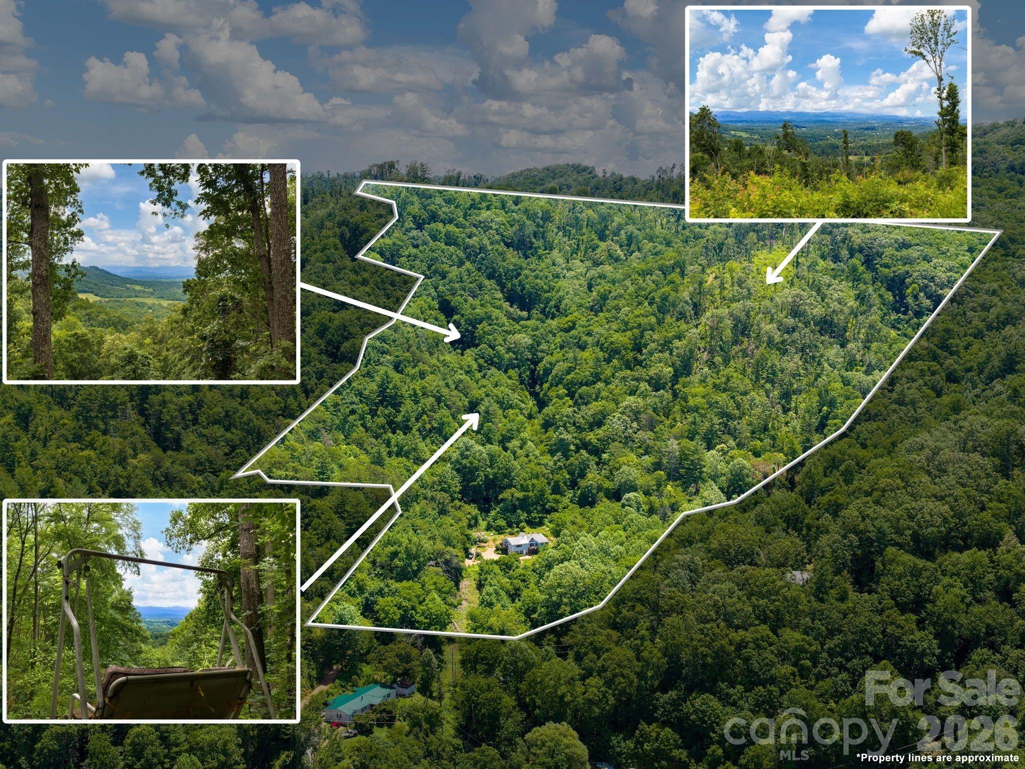 46 Perennial Ridge