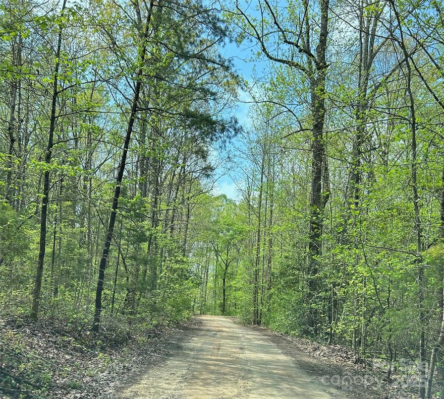 Prime Land Opportunity!  Unlock the potential of this exceptional piece of land, perfect for building your dream home or investment property. Located in the desirable area of Van Wyck, this land offers endless possibilities and a chance to create something truly special. Experience the tranquility of rural living while still being close to urban conveniences.  Essential utilities such as water, electricity, and sewage are readily accessible.