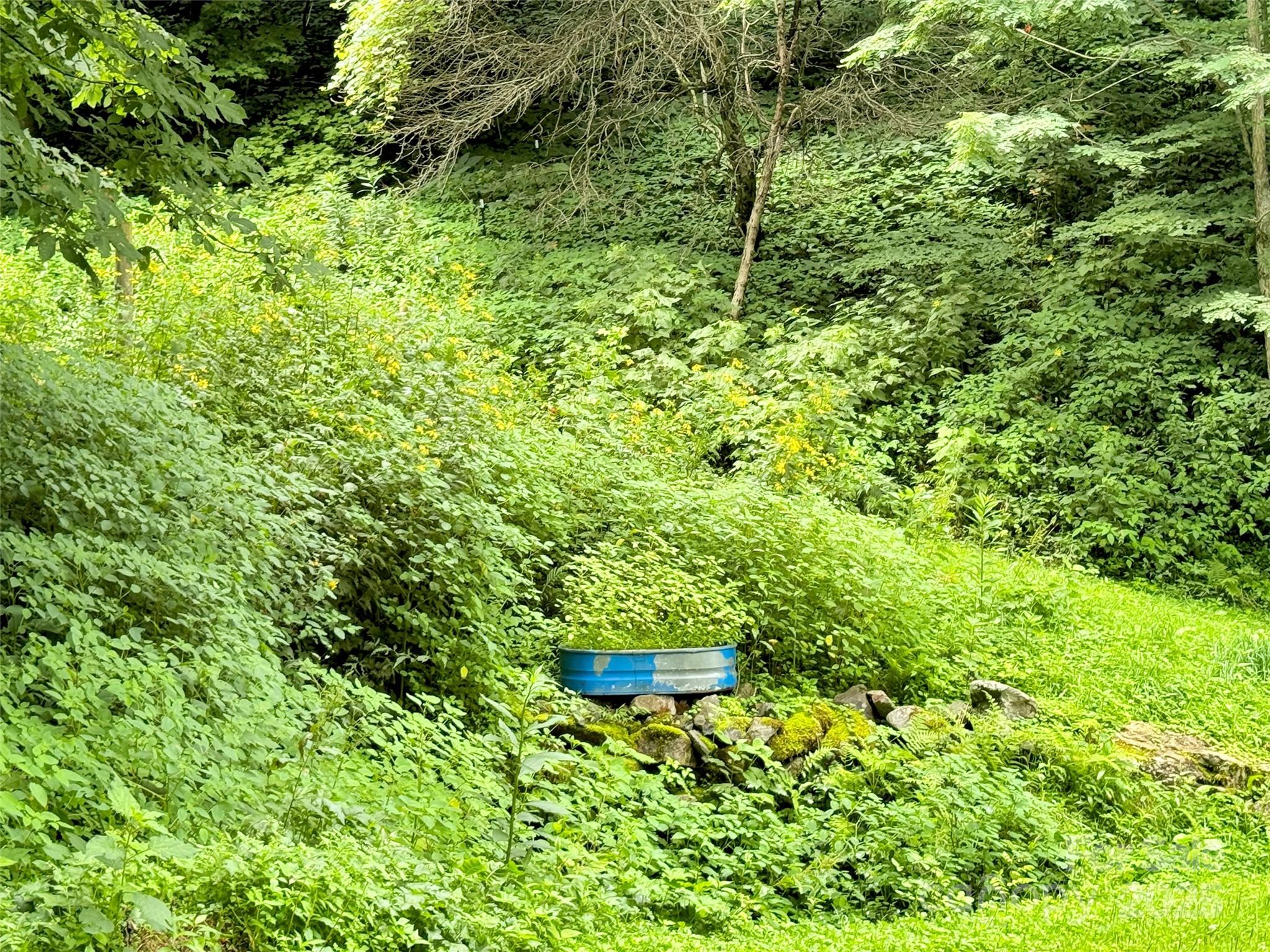 00 Trickle Creek Road