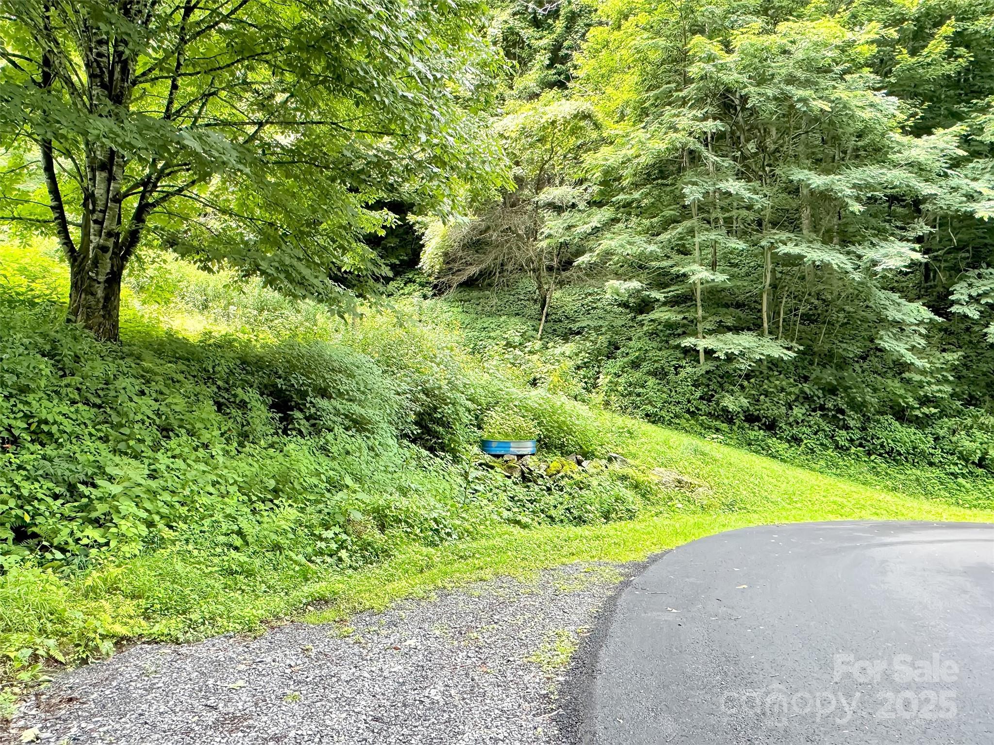 00 Trickle Creek Road