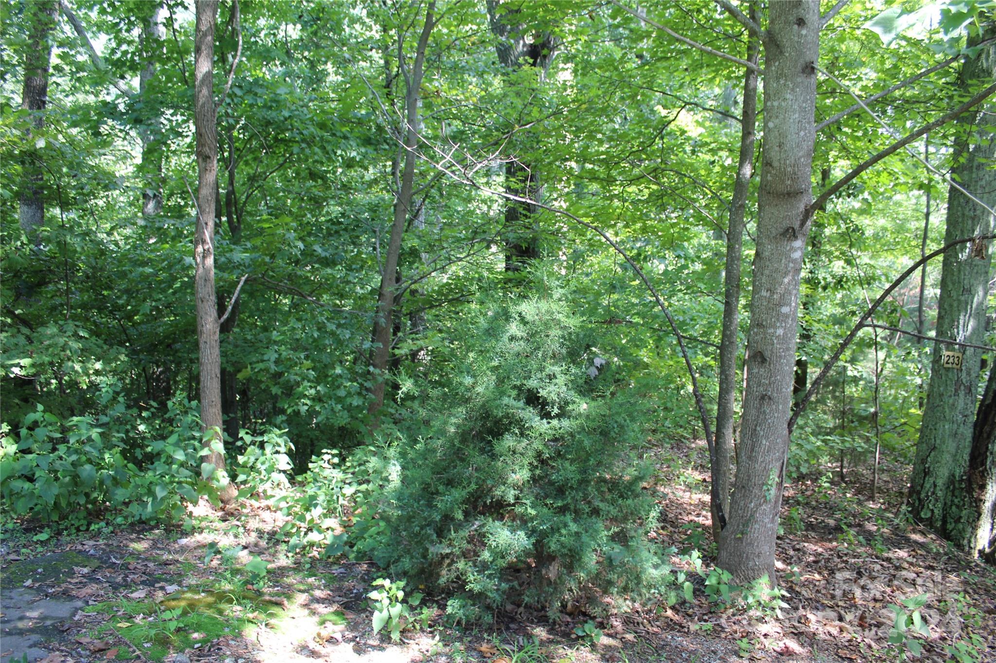 000 Brighton Drive