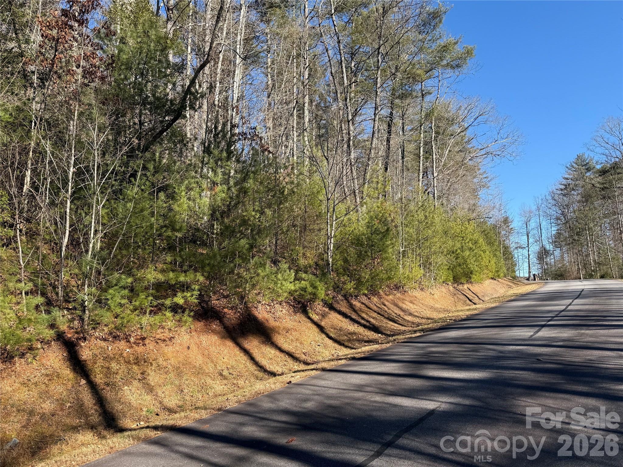 Lot 25 (A and B) Rockbrook Overlook