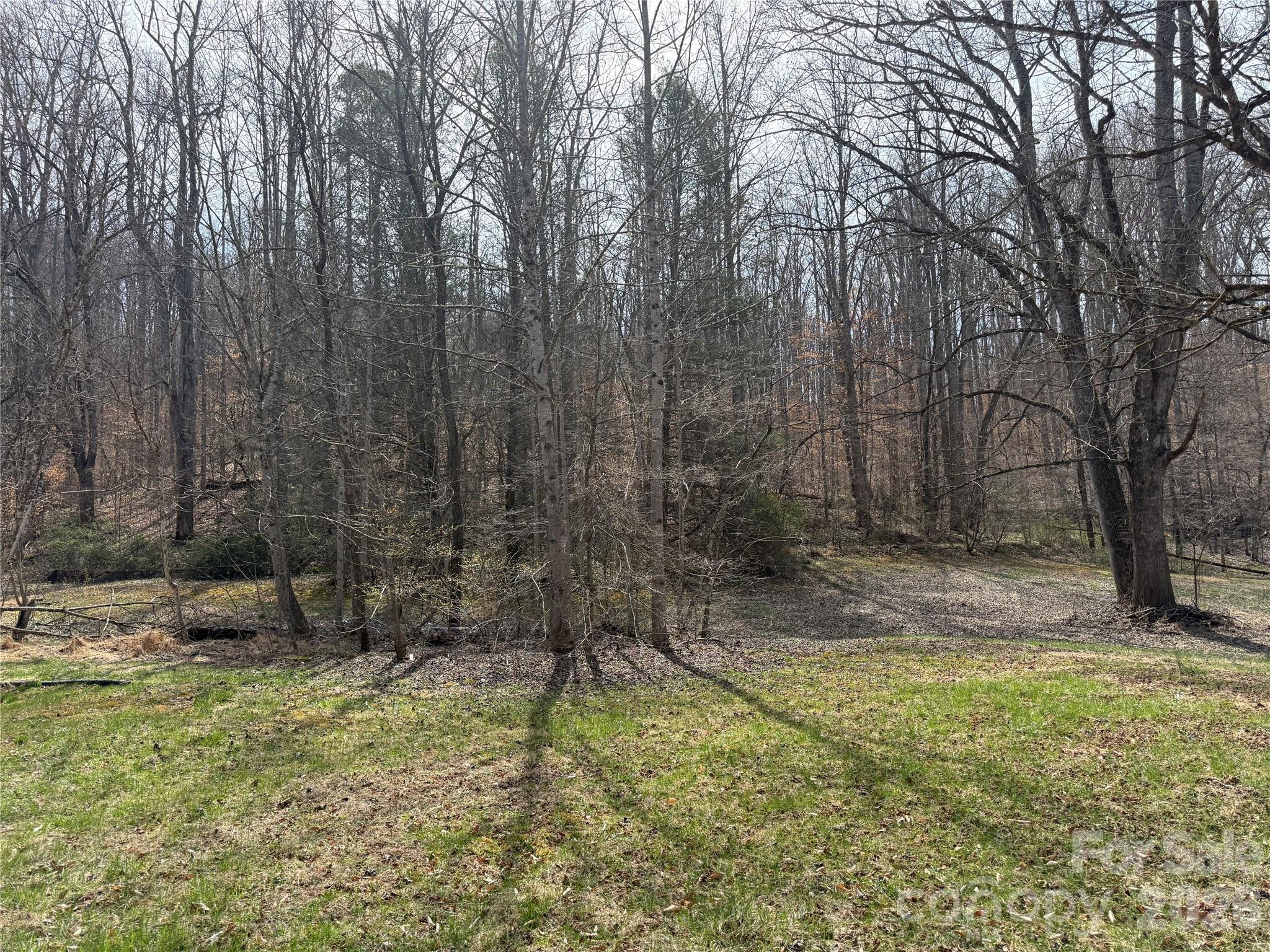 None - Residential