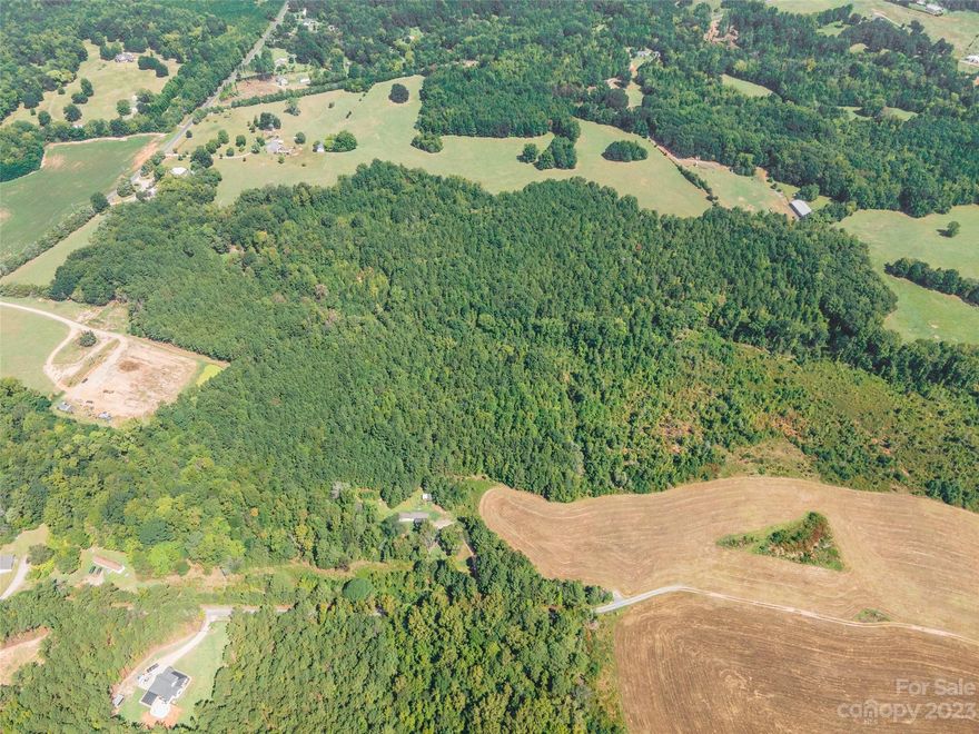 Over 11 acres of wooded land out in McConnells! Choose which trees to clear for maximum privacy and build your dream home in the country. Conveniently located 20 minutes from Rock Hill and 20 minutes from the interstate for proximity to the city without giving up a country setting. Enough acreage to keep farm animals too! The tongue & driveway to a mobile home located at 1725 Ginn Rd is located on this property. Easement needed upon closing.