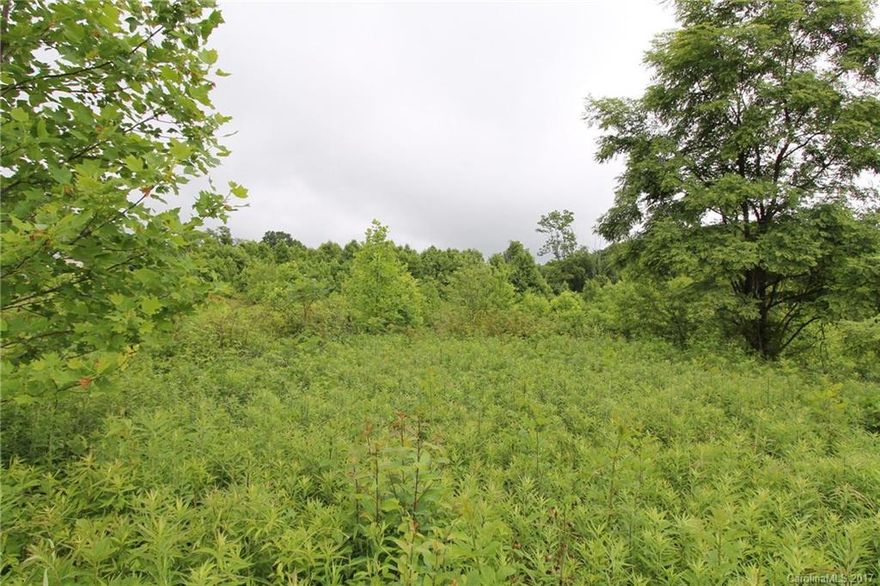 Gentle sloped, cleared lot with septic permit already obtained! Underground electricity available. Lot bundling a possibility.