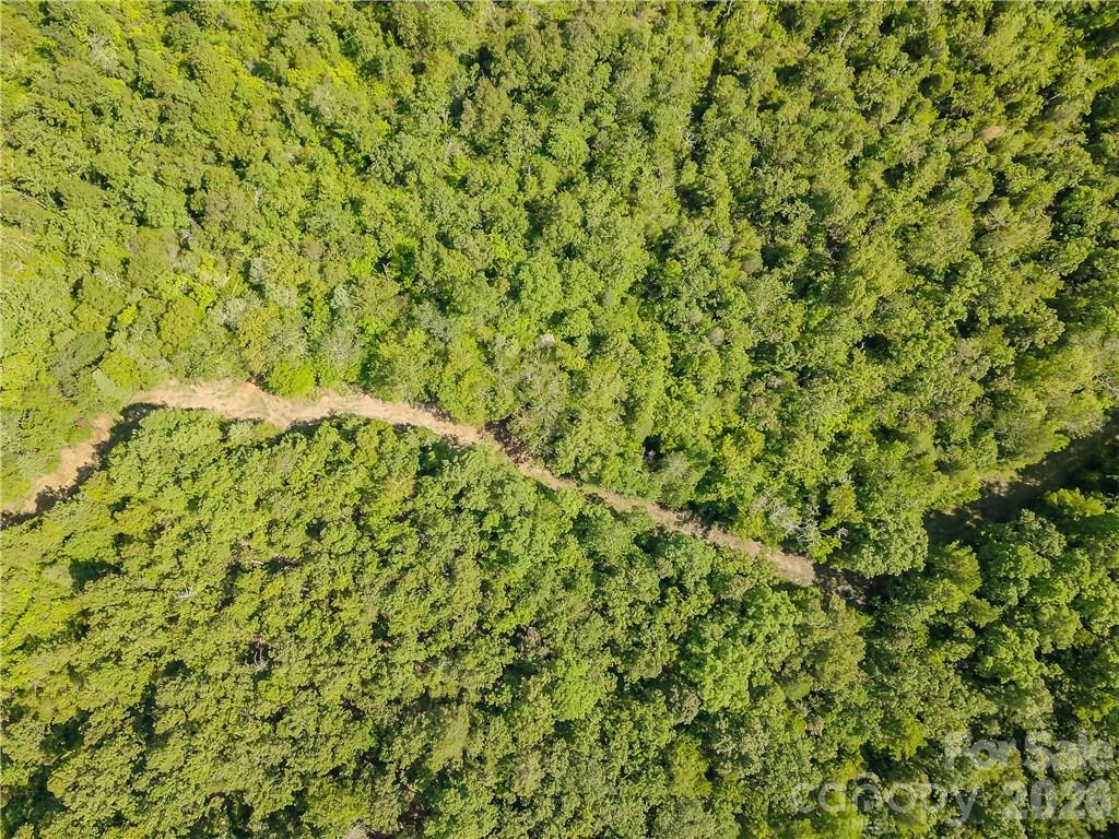1439 Mount Holly Road