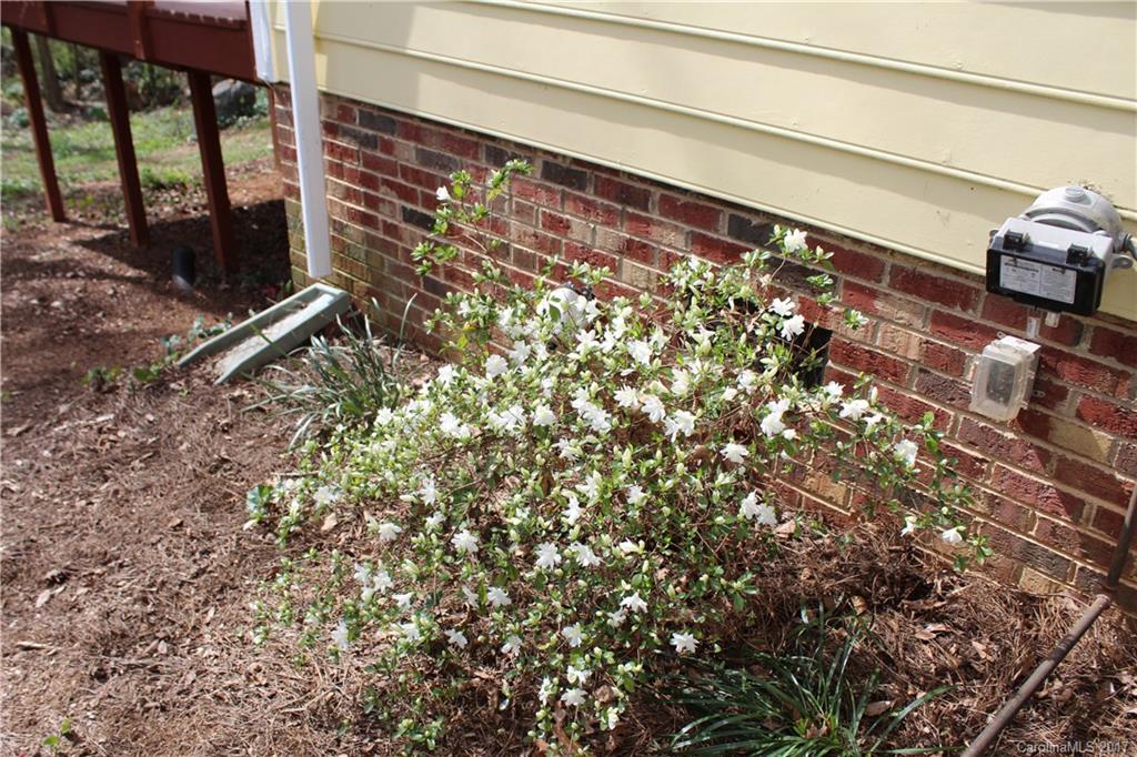 Collins Park - Residential