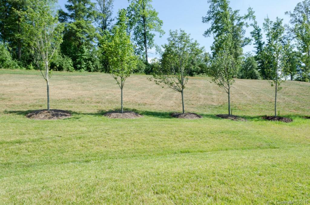 Stafford Oaks - Residential