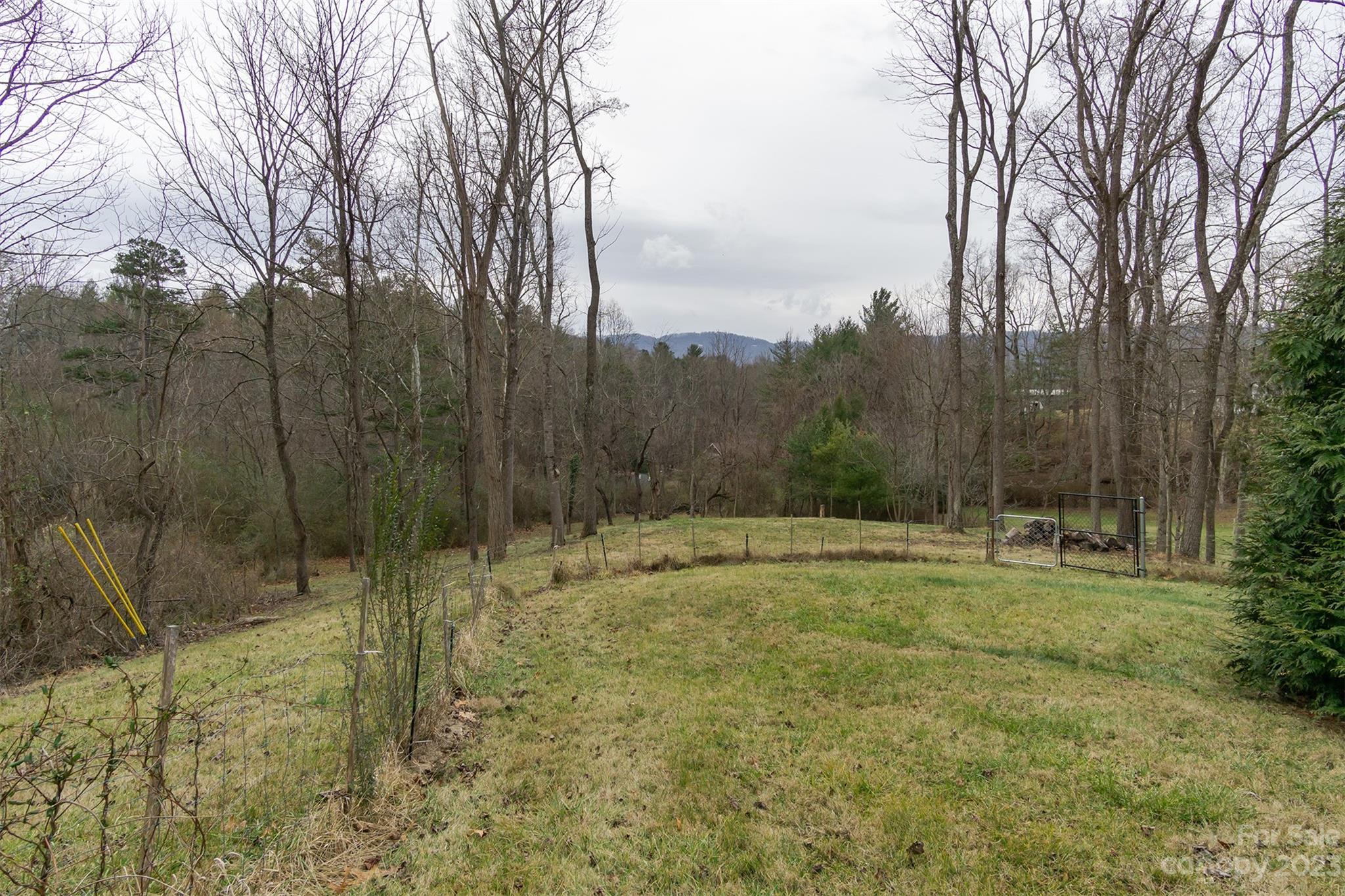 Reems Creek - Residential