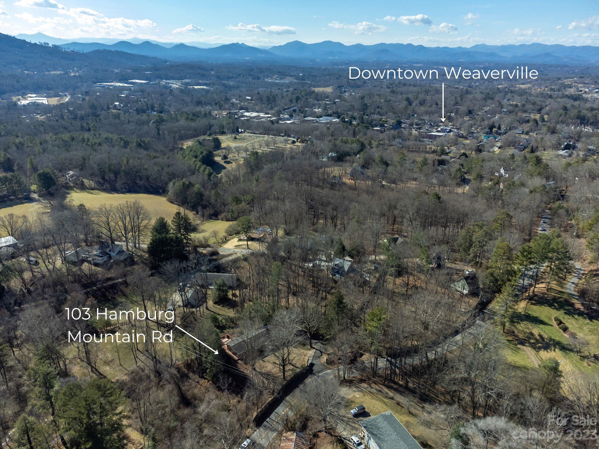 Reems Creek - Residential