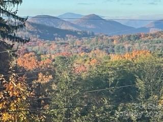 Reems Creek - Residential