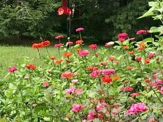 Reems Creek - Residential