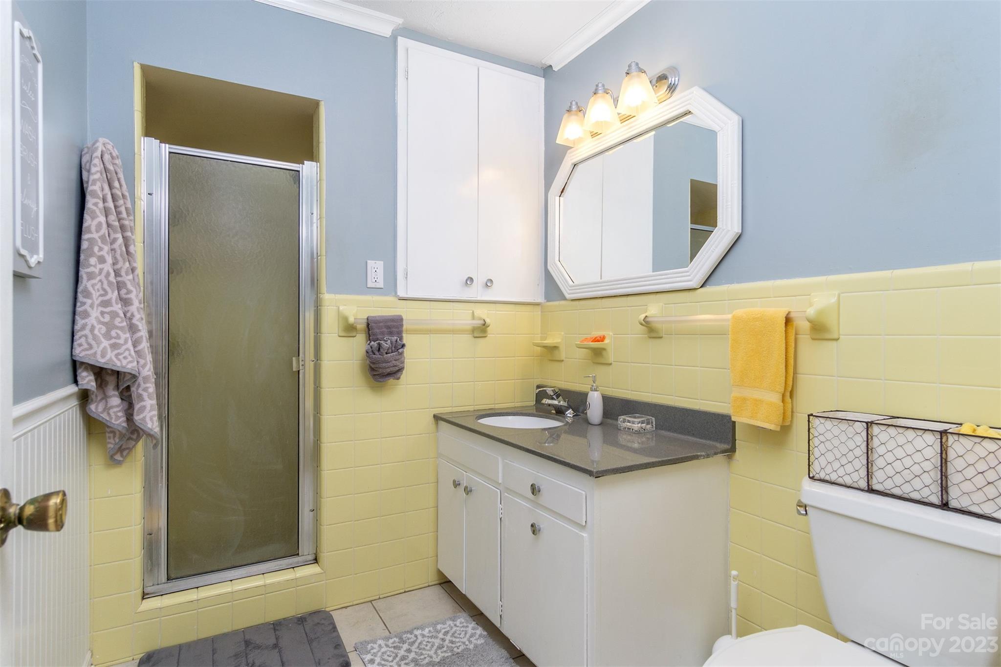 Reems Creek - Residential