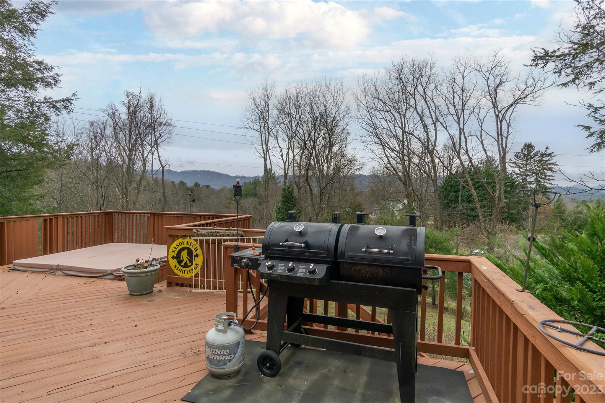 Reems Creek - Residential