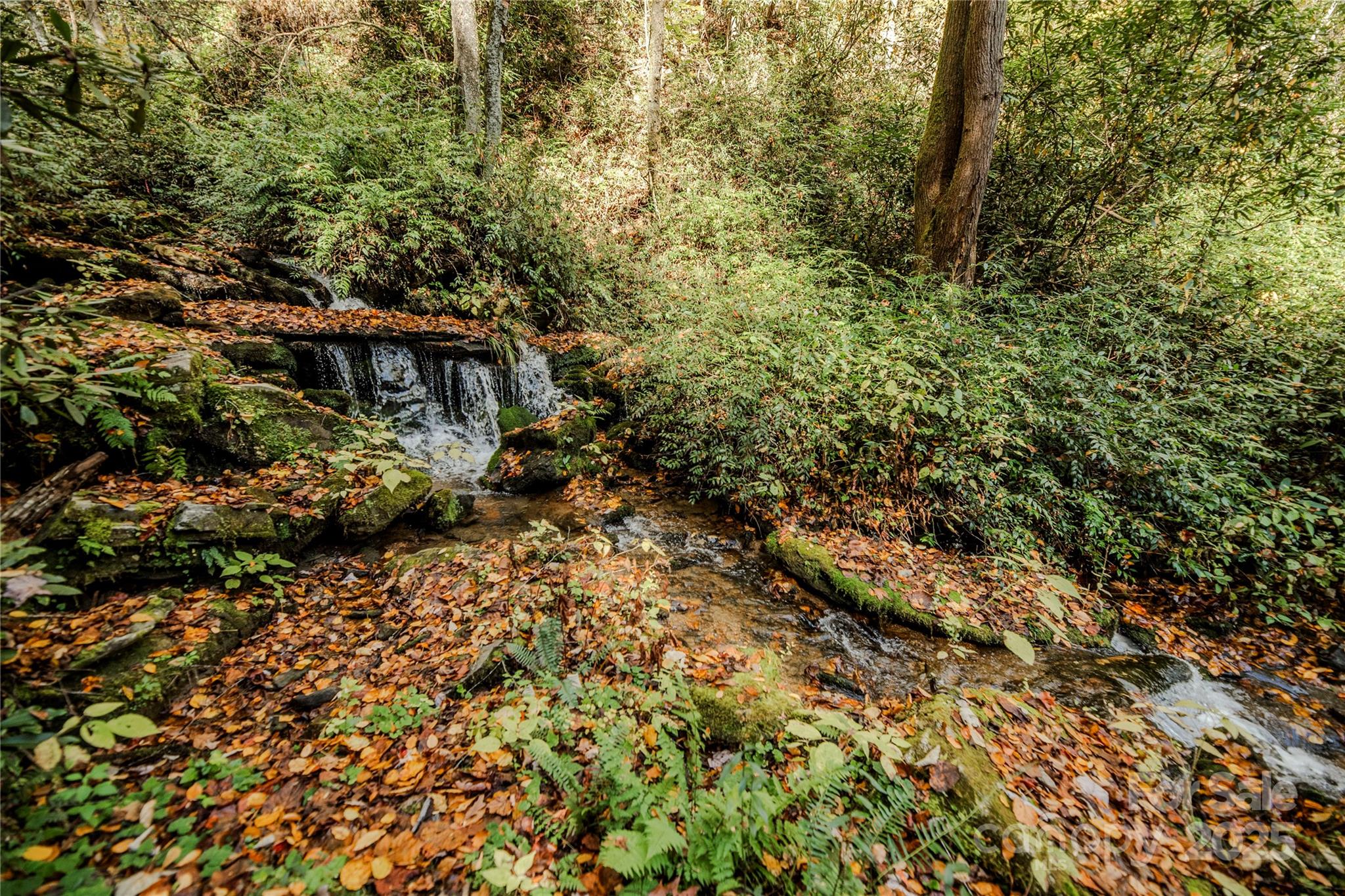 195 Still Waters Lane