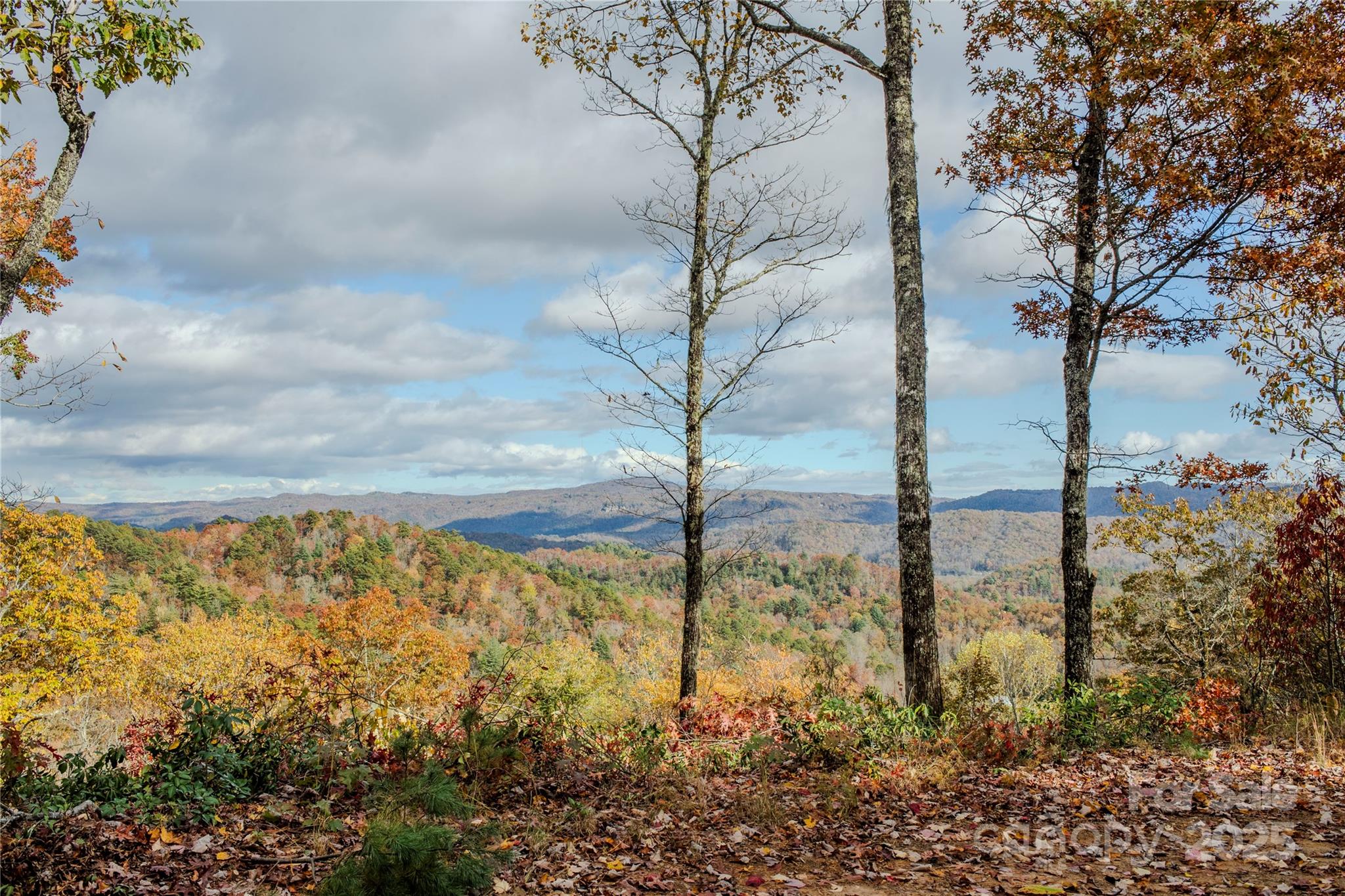 195 Still Waters Lane