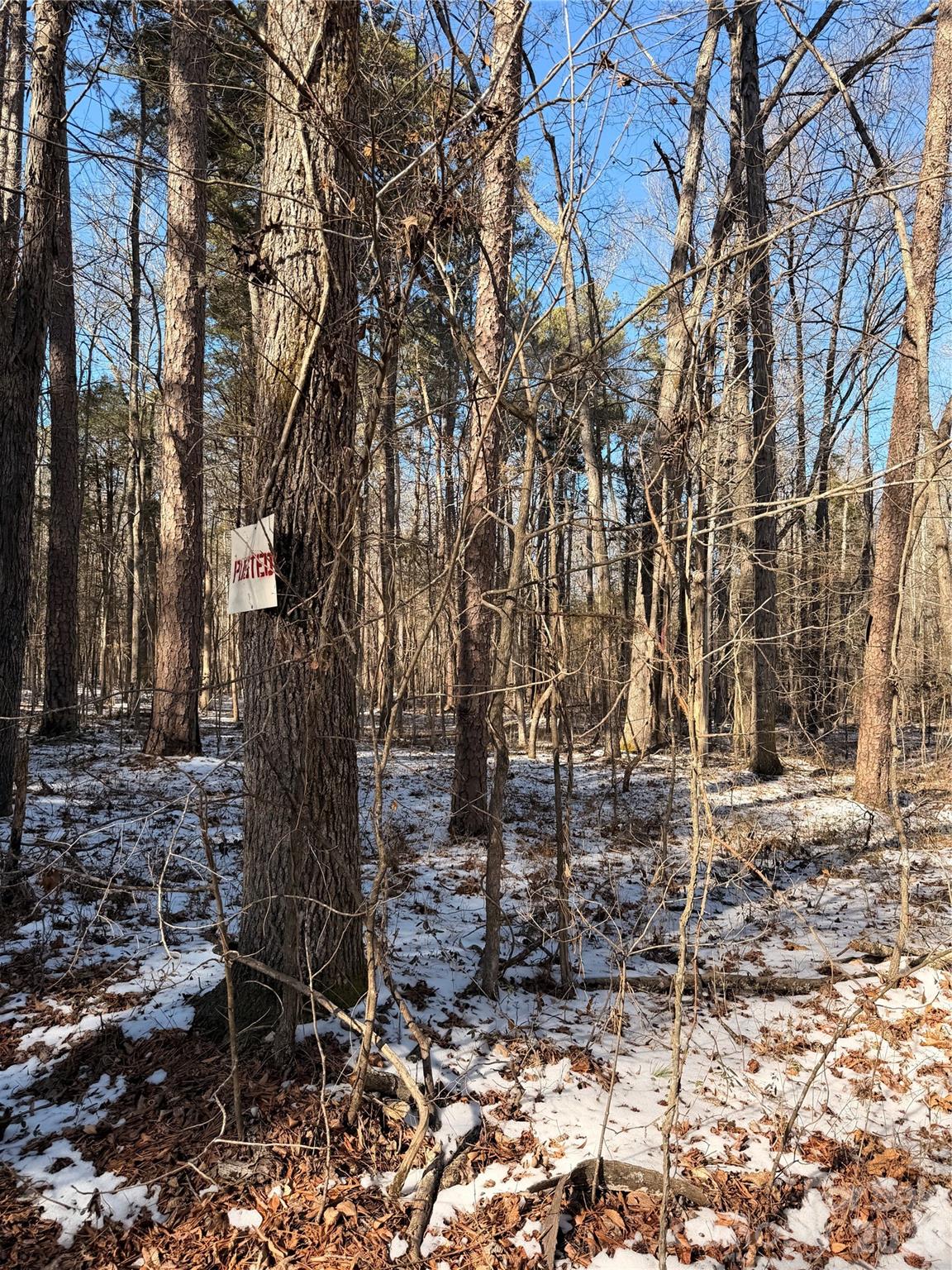 00 Stokes Ferry Road