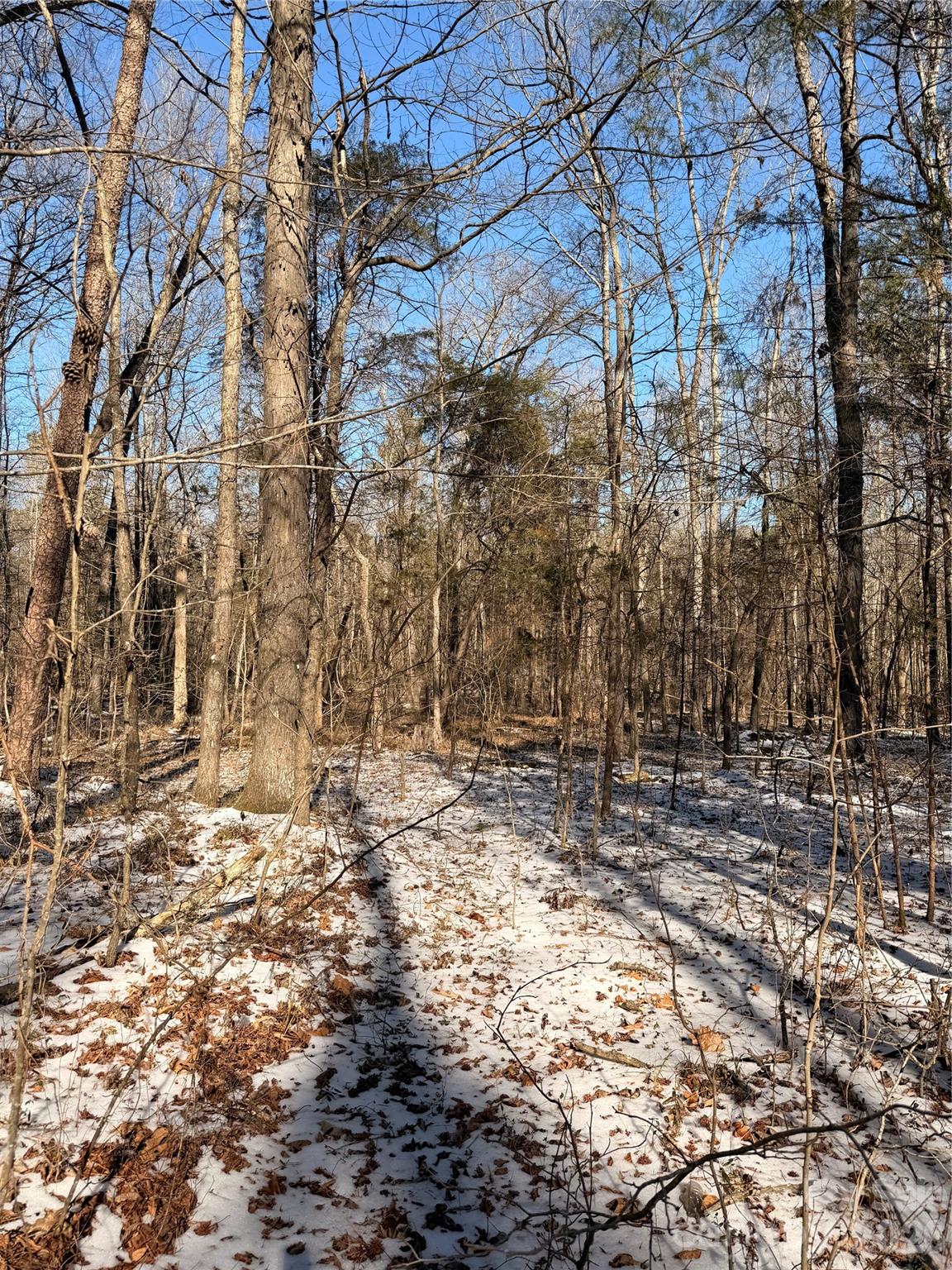 00 Stokes Ferry Road