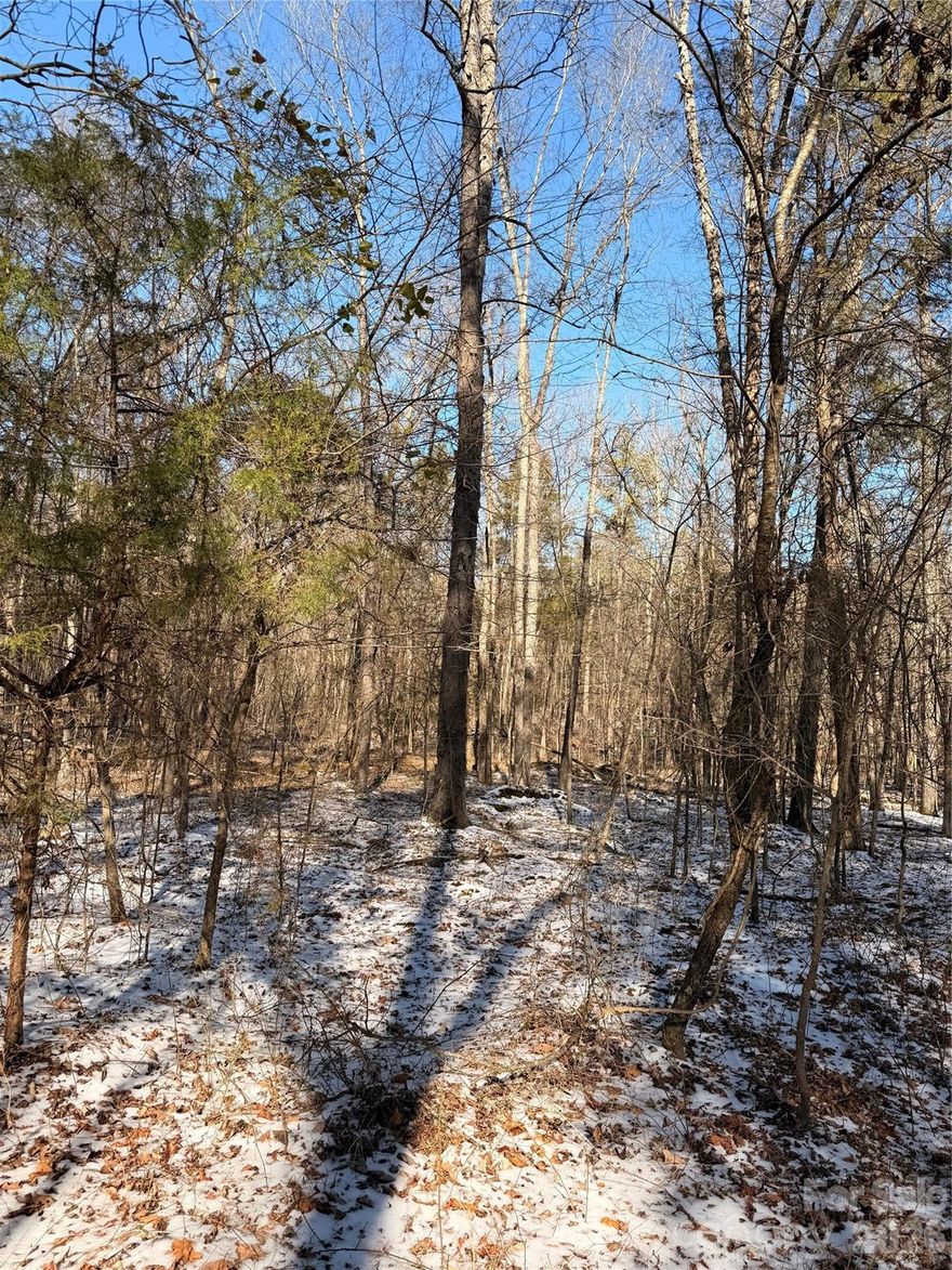 16± acres of private, wooded land located in Rowan County. Property offers excellent potential for hunting, recreational use, and outdoor enjoyment. Heavily wooded with abundant wildlife and a secluded setting ideal for those seeking privacy. Unable to find deeded access of record; Buyer responsible for verifying access, zoning, and suitability for intended use .Acreage per tax card; buyer to verify. Being sold as-is.