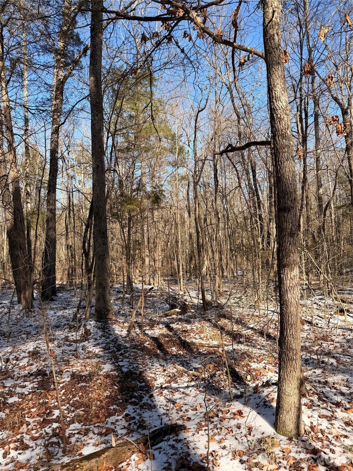 00 Stokes Ferry Road