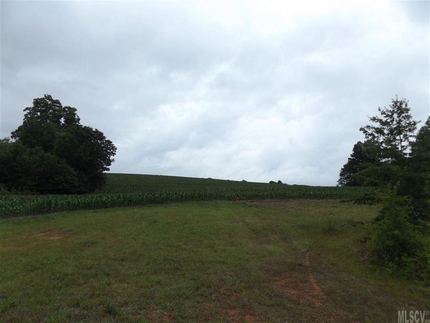 Private 70 +/- acres with older farmhouse.  Acreage features gently rolling fields, currently planted in corn. There are also hay fields, some wooded areas and a small stream. Price does not reflect any value for the farmhouse. However, the house has 2 wells, relatively new septic and roof. Tax deferment in place because current use of property is for farming. Hurricane Hill road provides an alternative route to the back of the property.