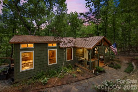 81 Delind Drive Mill Spring NC 28756