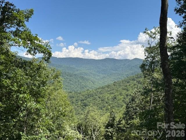 Balsam Mountain Preserve - Land