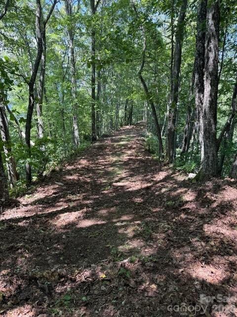 Balsam Mountain Preserve - Land