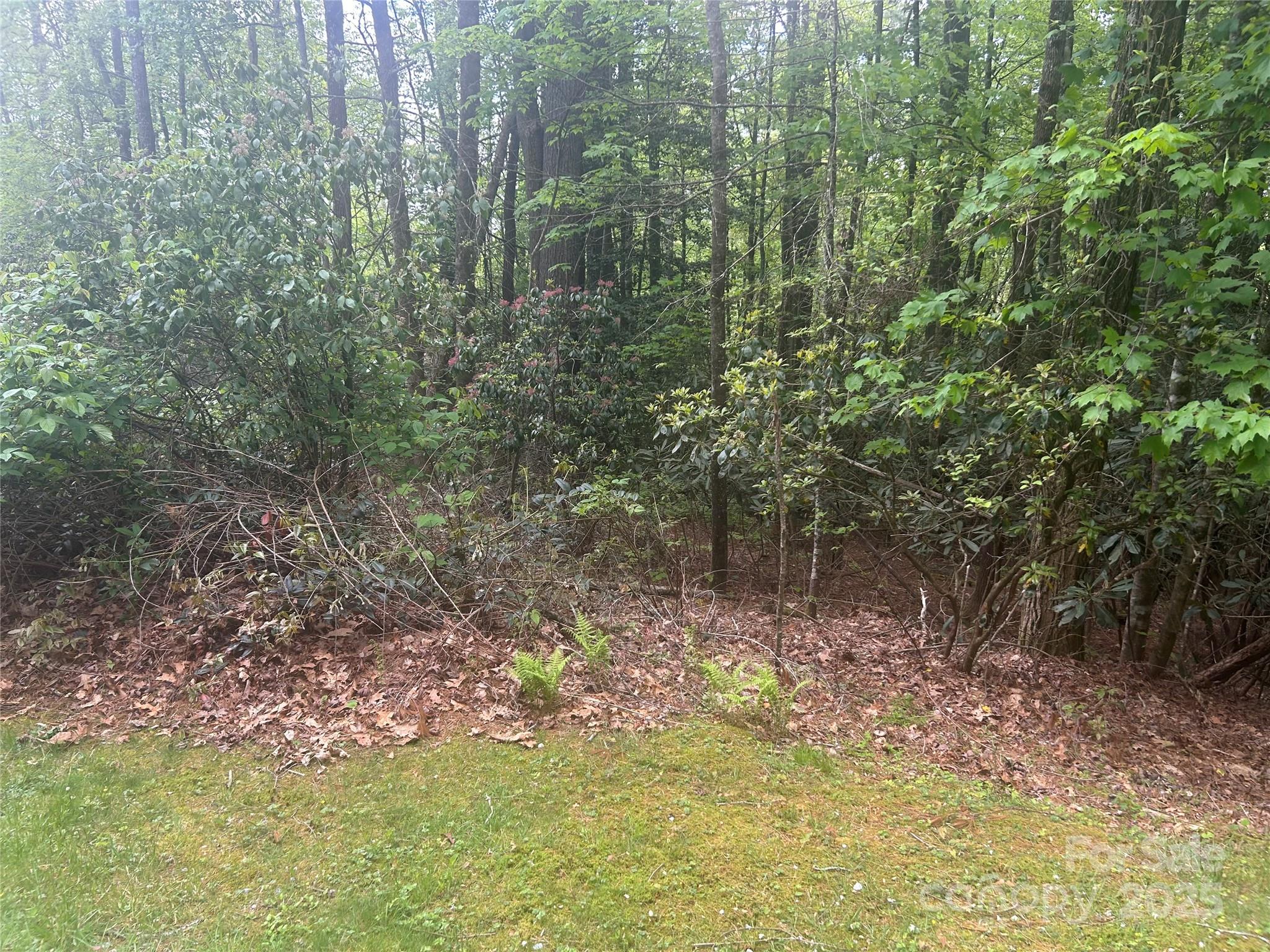 TBD Upper Whitewater Road