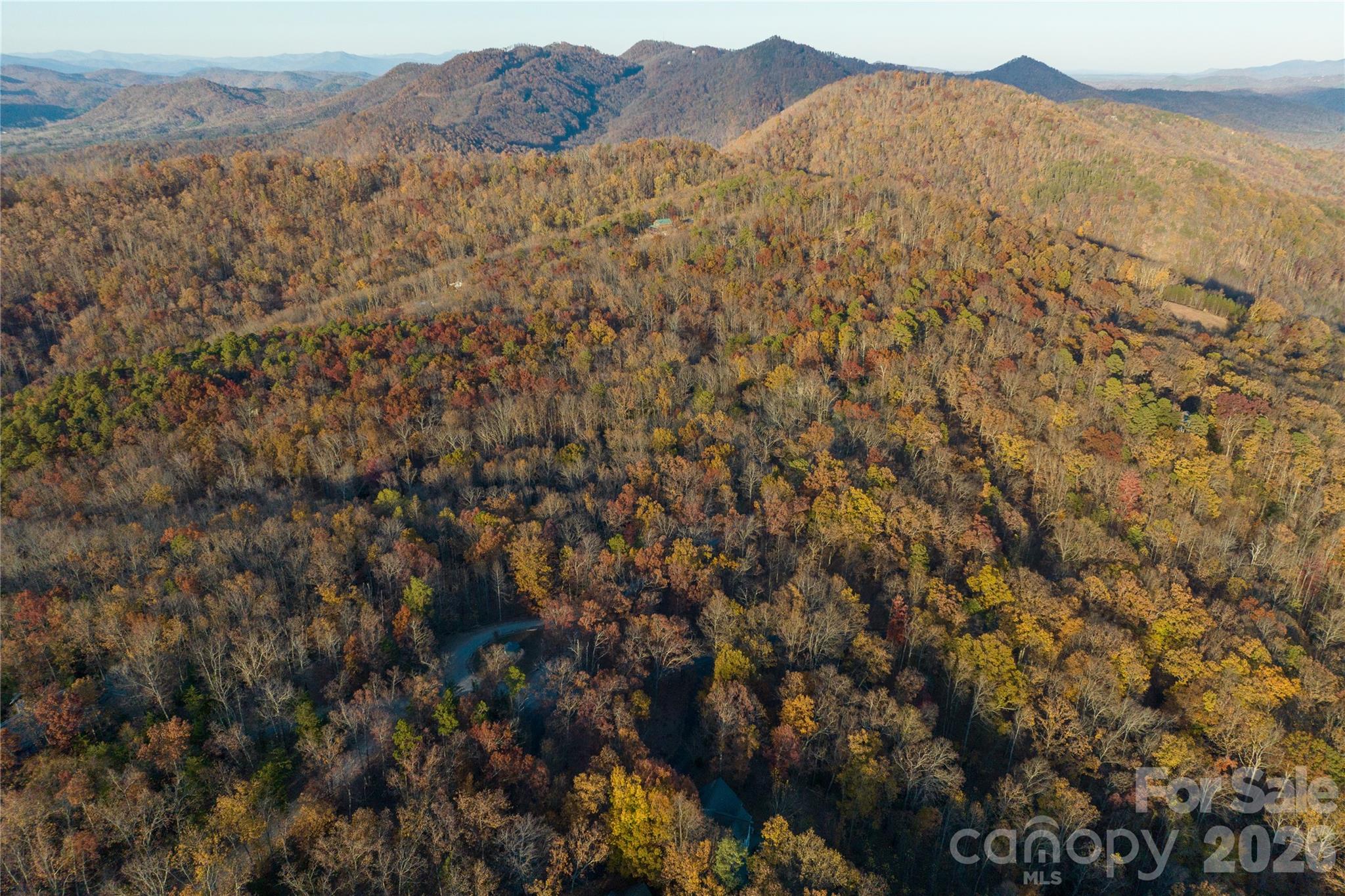 New Forest Mountain - Land