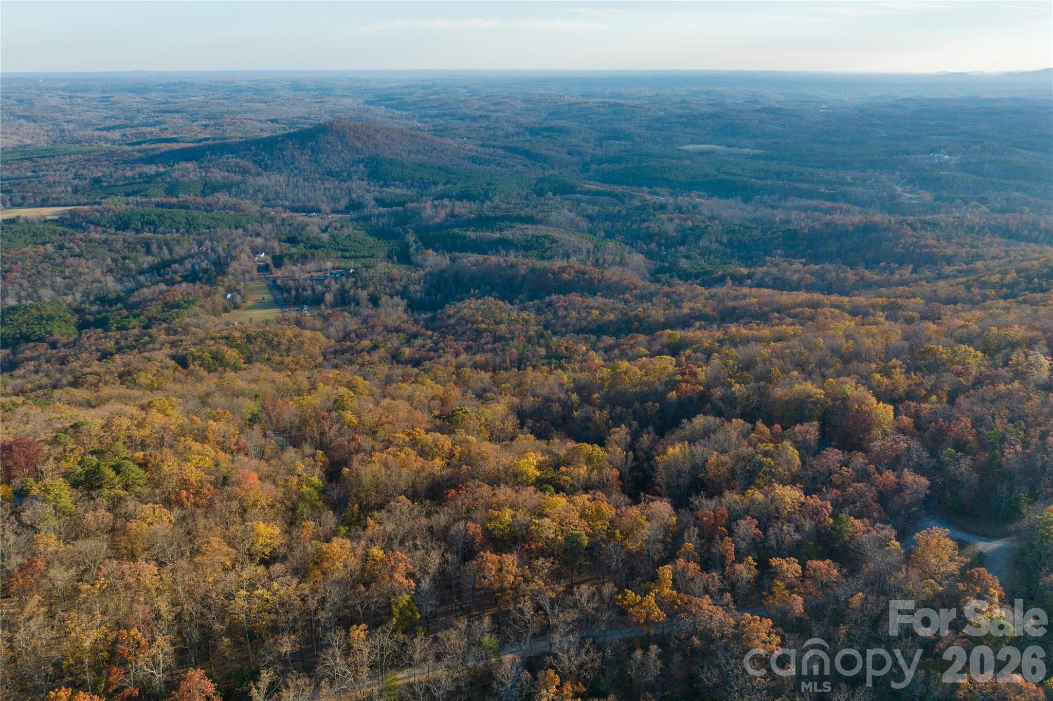 New Forest Mountain - Land