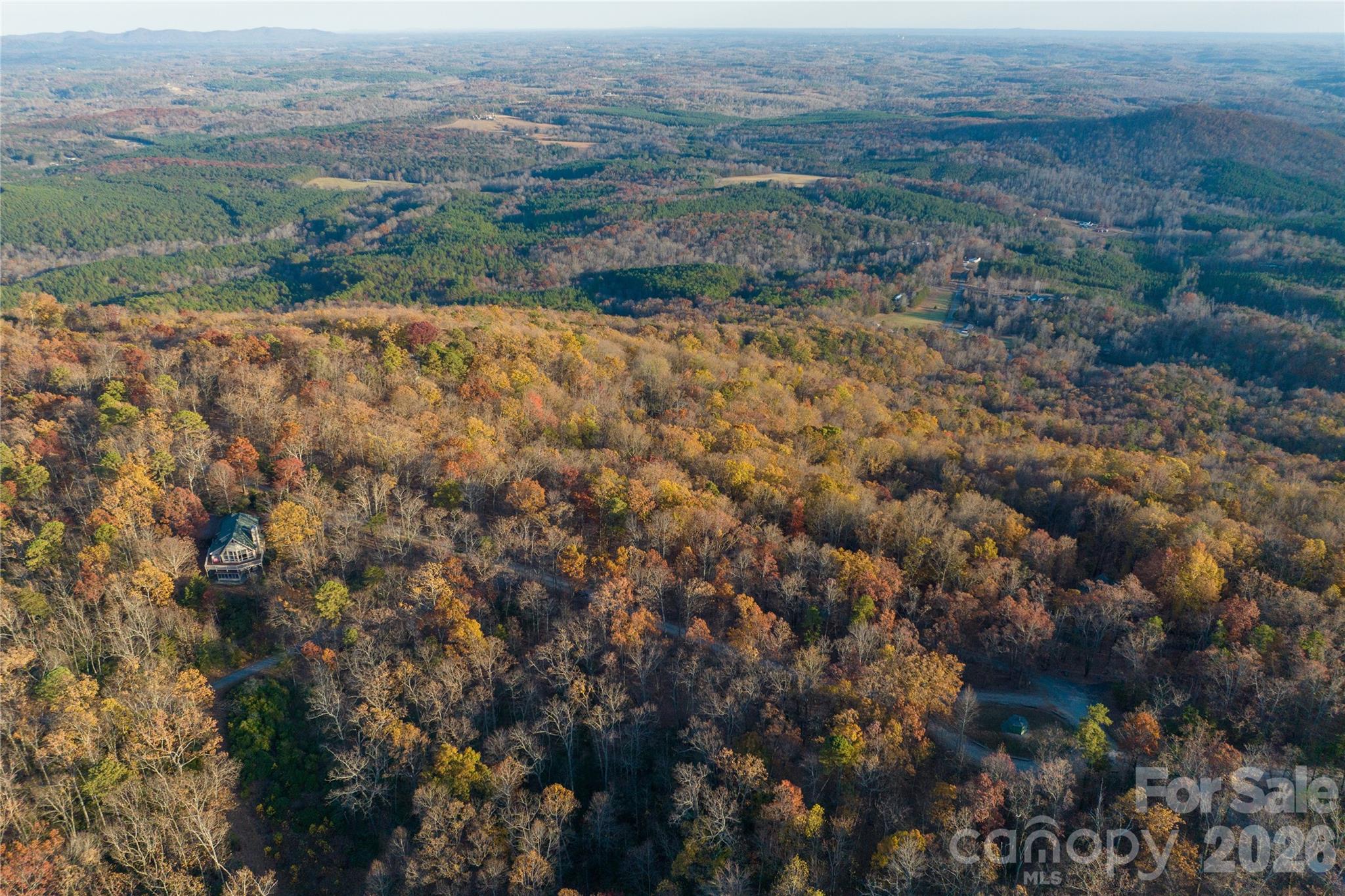 New Forest Mountain - Land