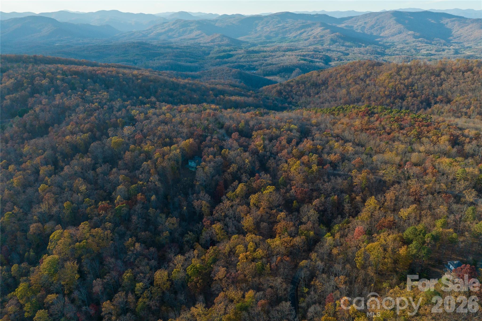 New Forest Mountain - Land