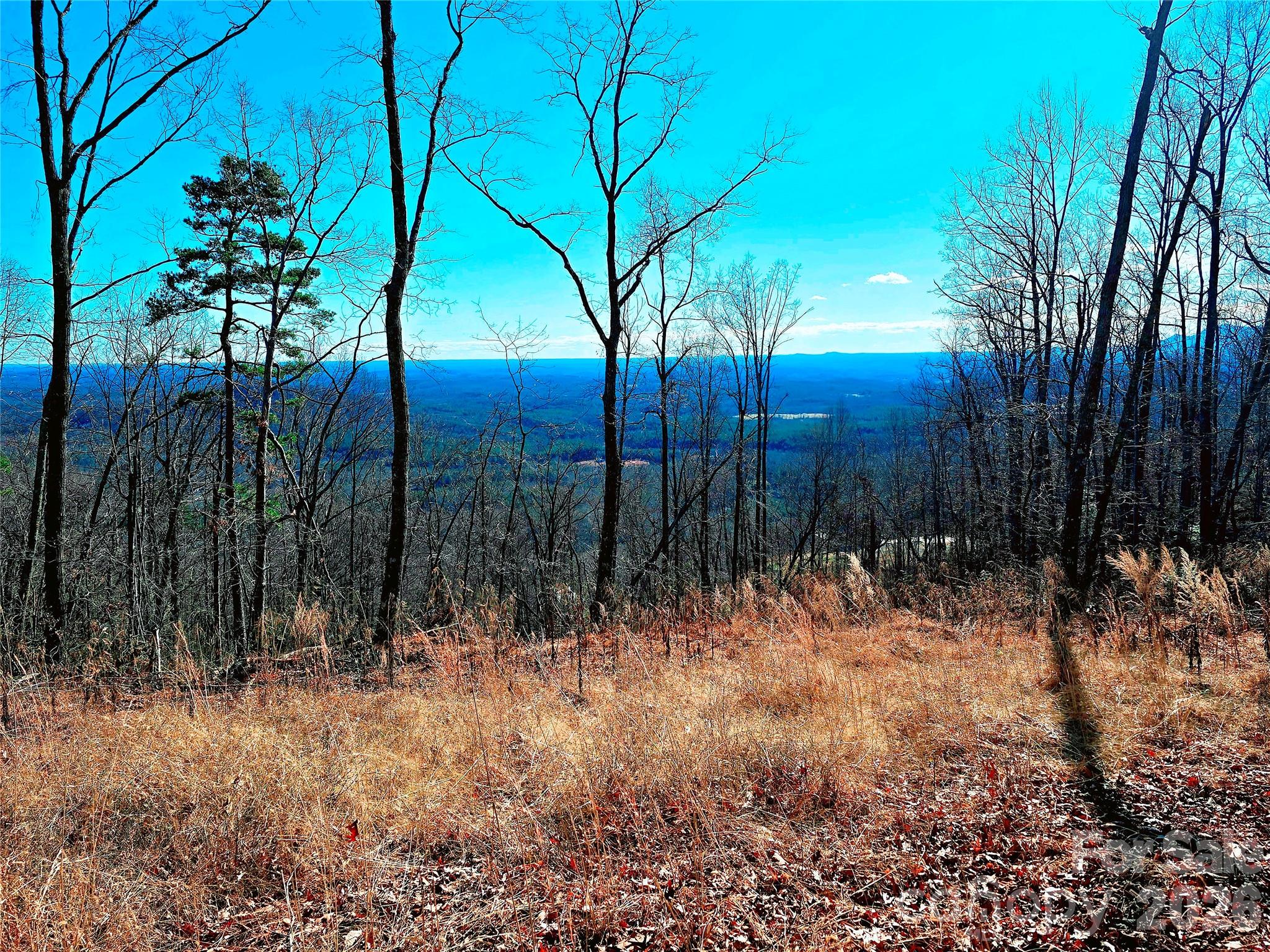 New Forest Mountain - Land