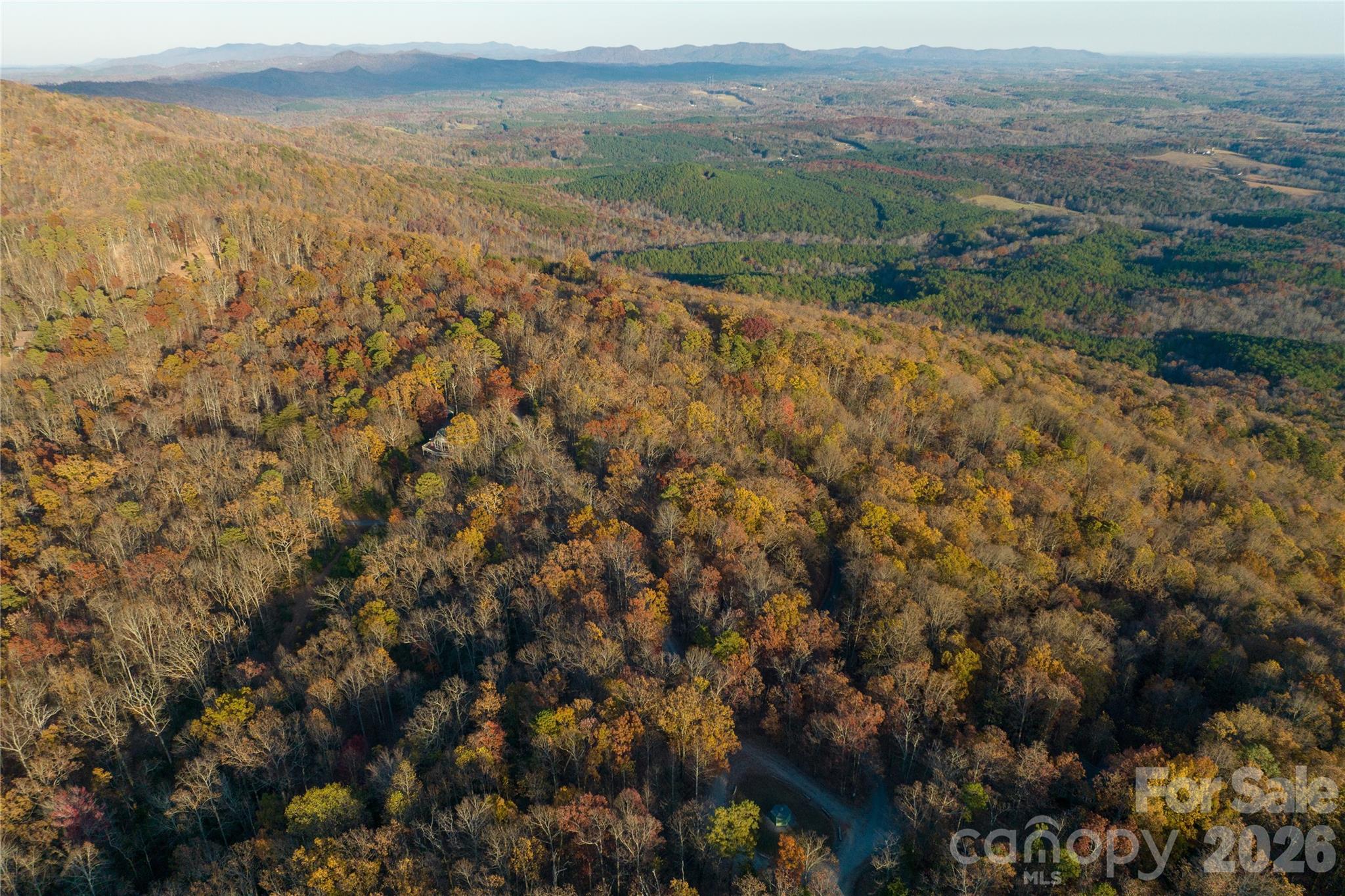 New Forest Mountain - Land
