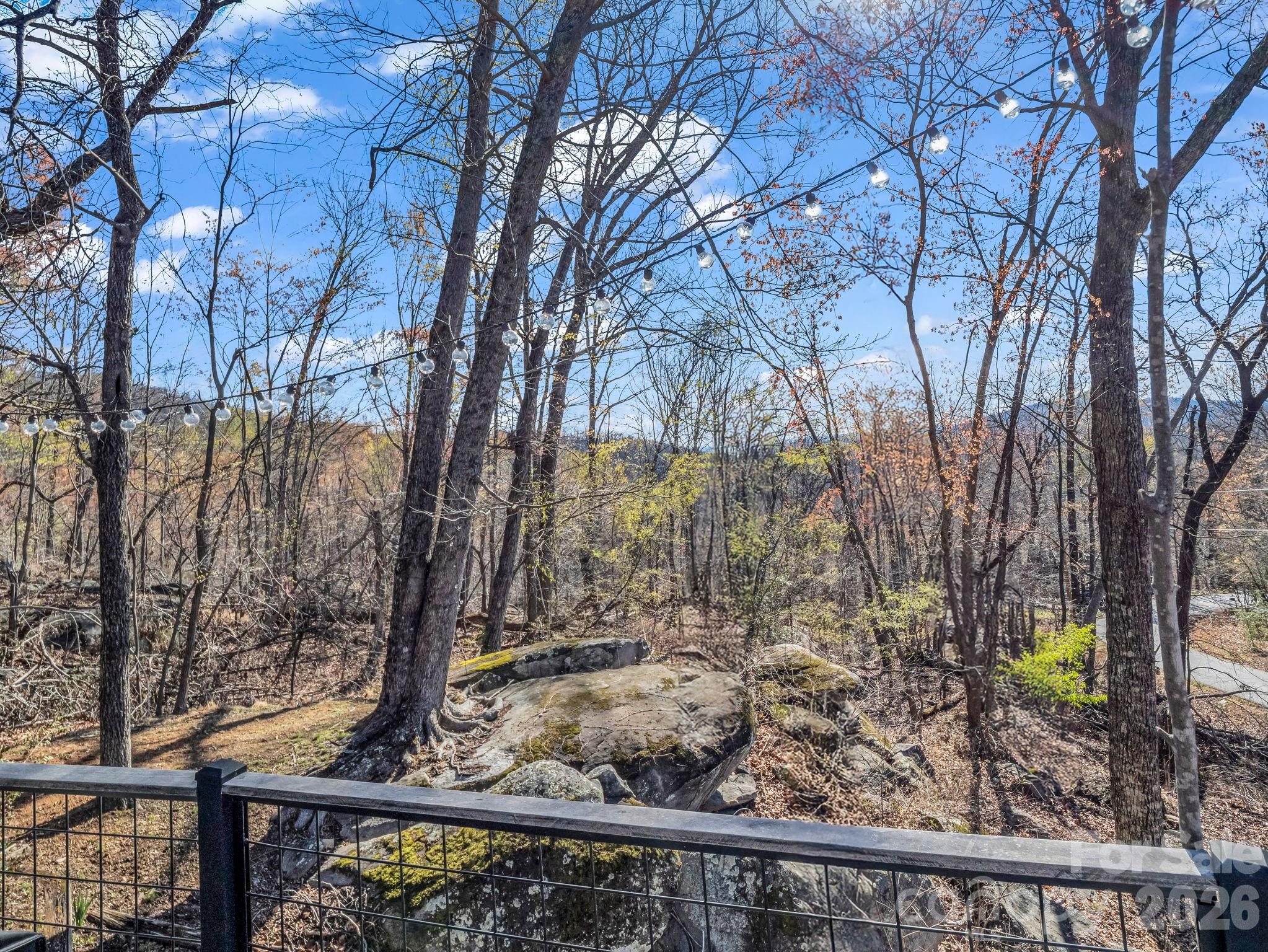 Rumbling Bald on Lake Lure - Residential