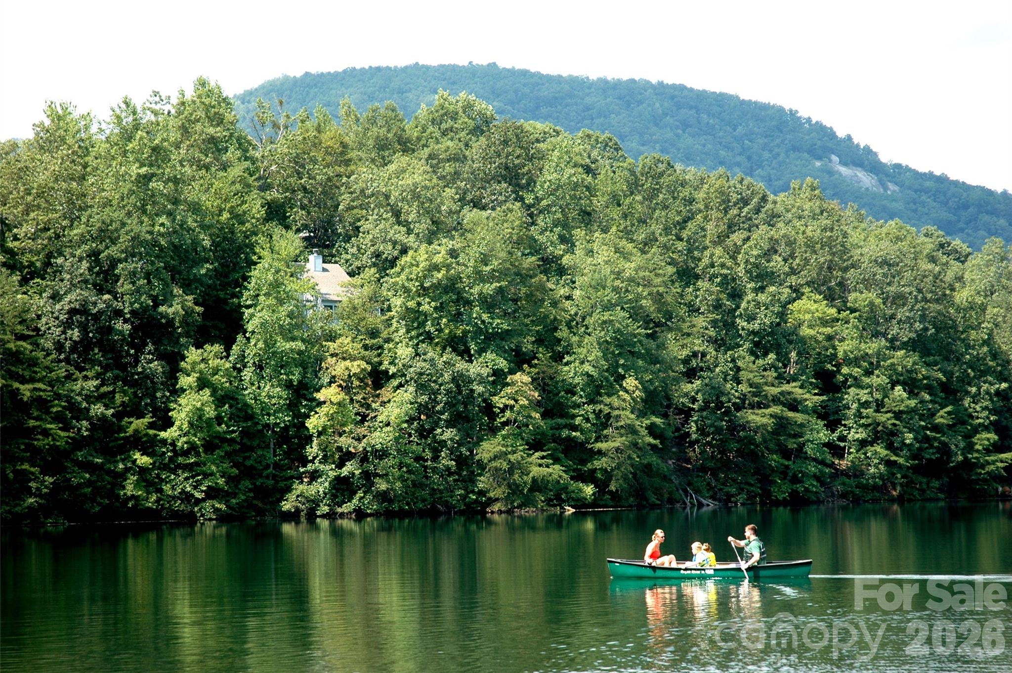Rumbling Bald on Lake Lure - Residential