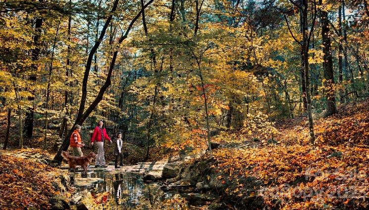 The Palisades - Residential